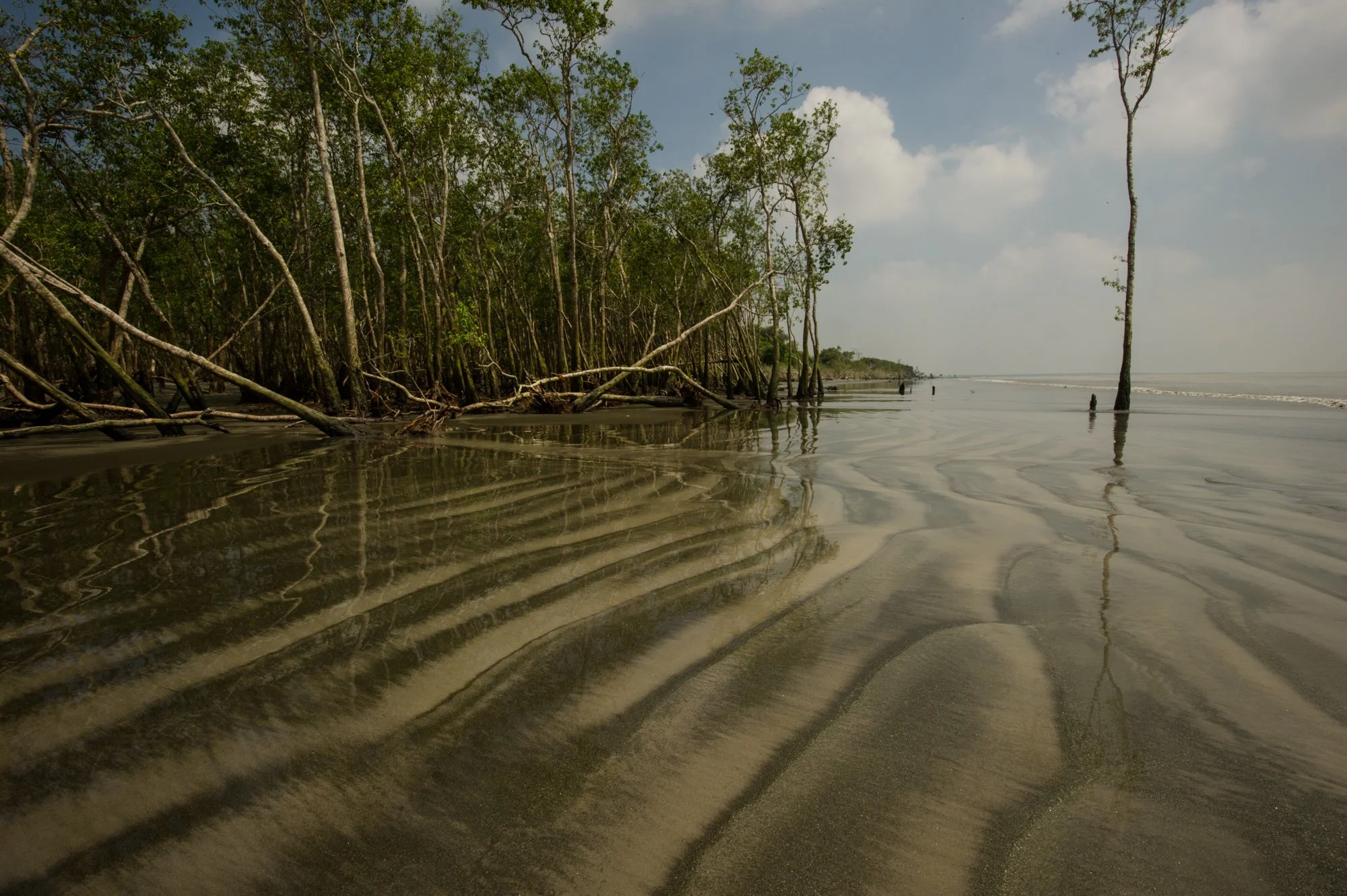 LN-Sundarbans-17.jpg
