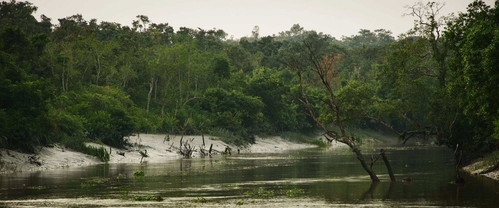 LN-Sundarbans-10.jpg