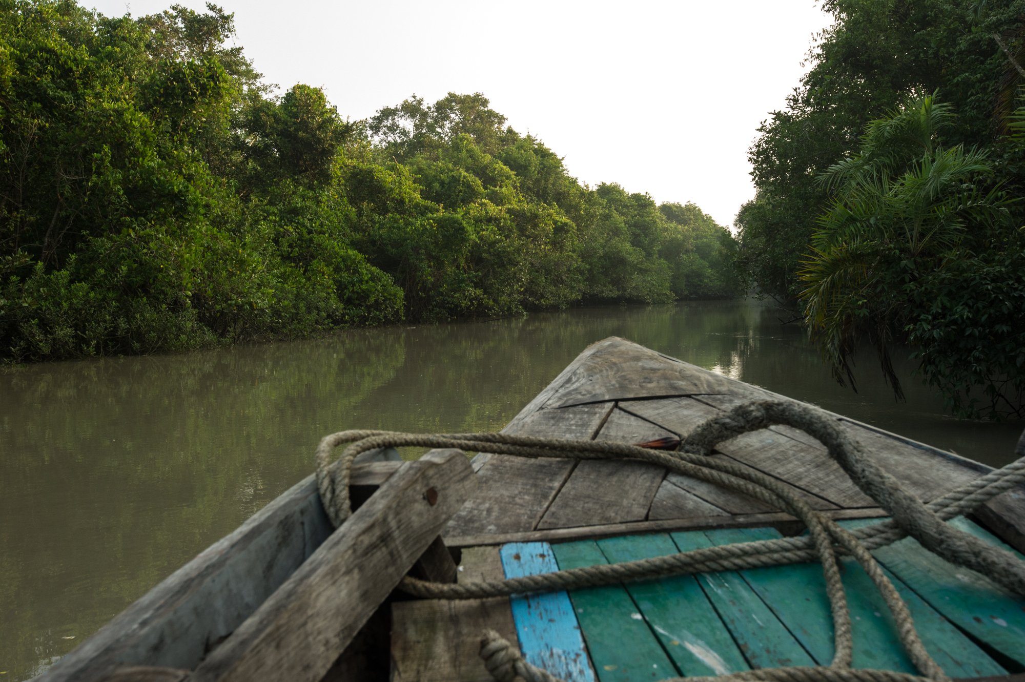 LN-Sundarbans-9.jpg