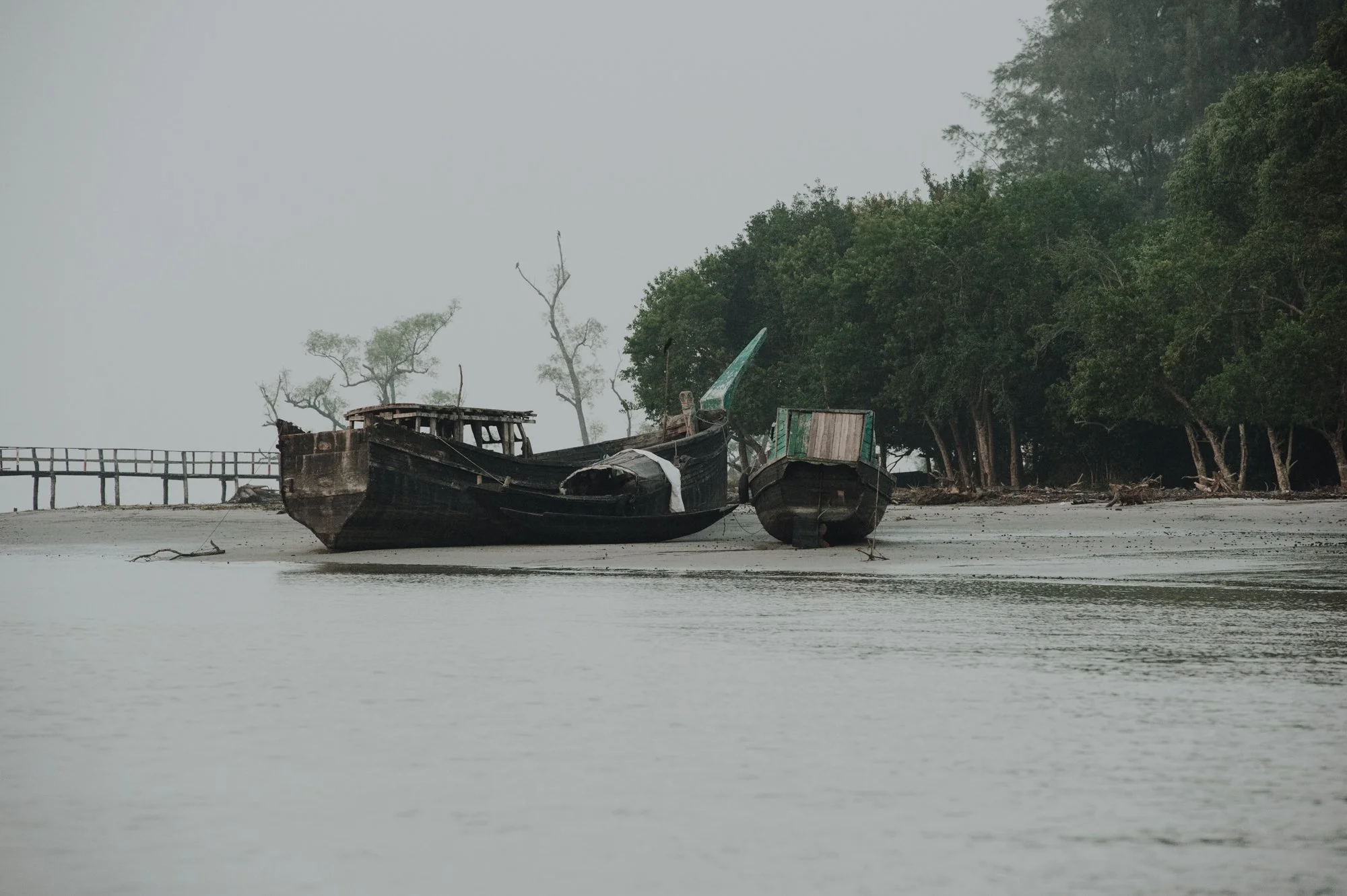 LN-Sundarbans-5.jpg