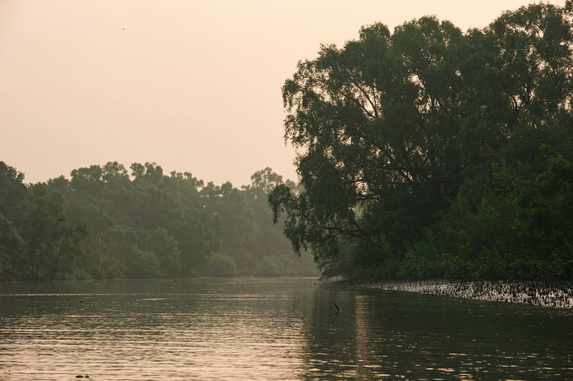 LN-Sundarbans-1.jpg