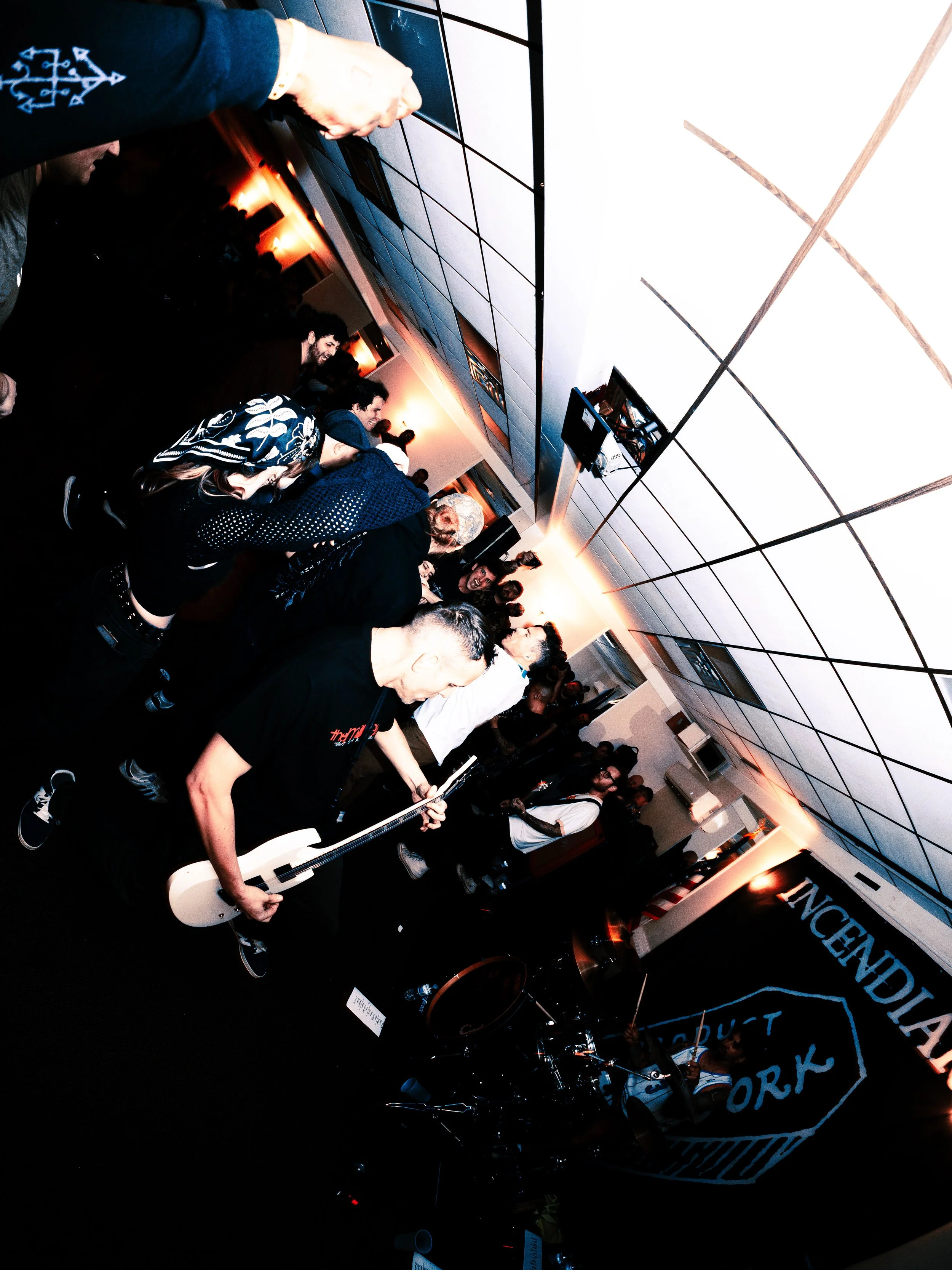 DSC01117.jpg