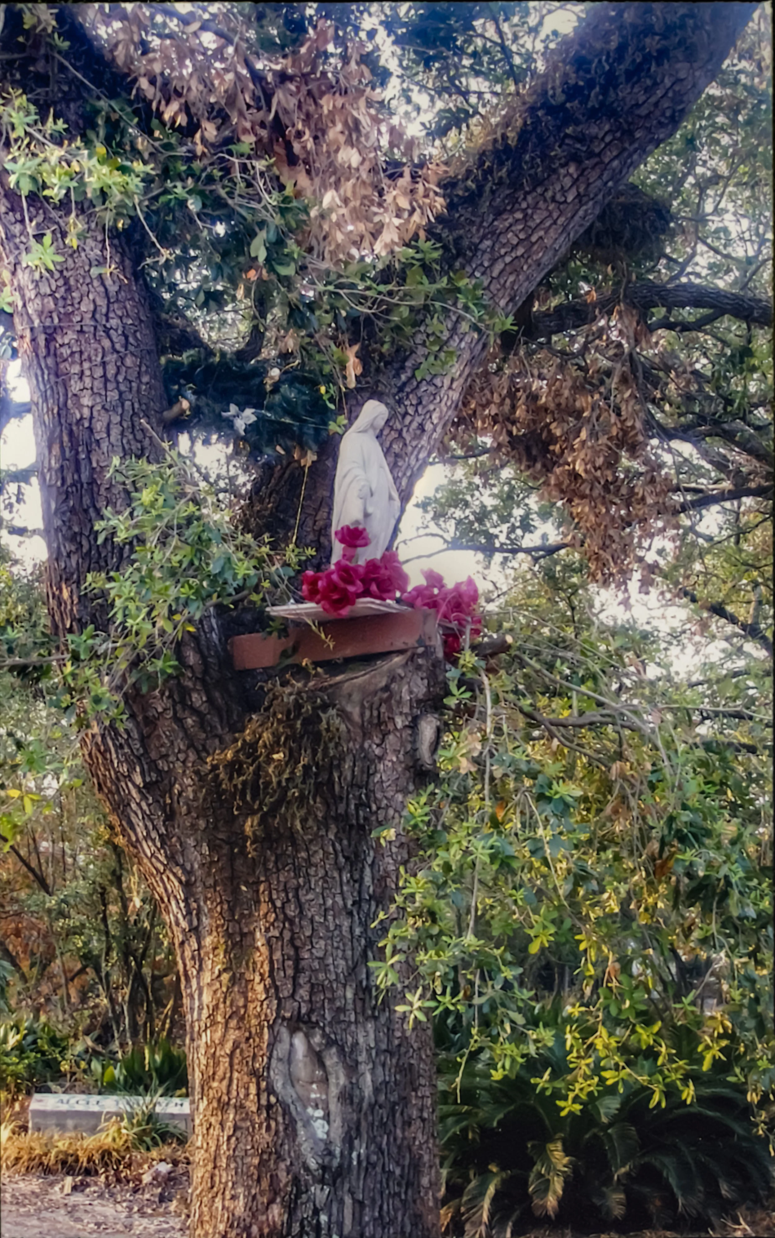 Esplanade Ave, Fairgrounds