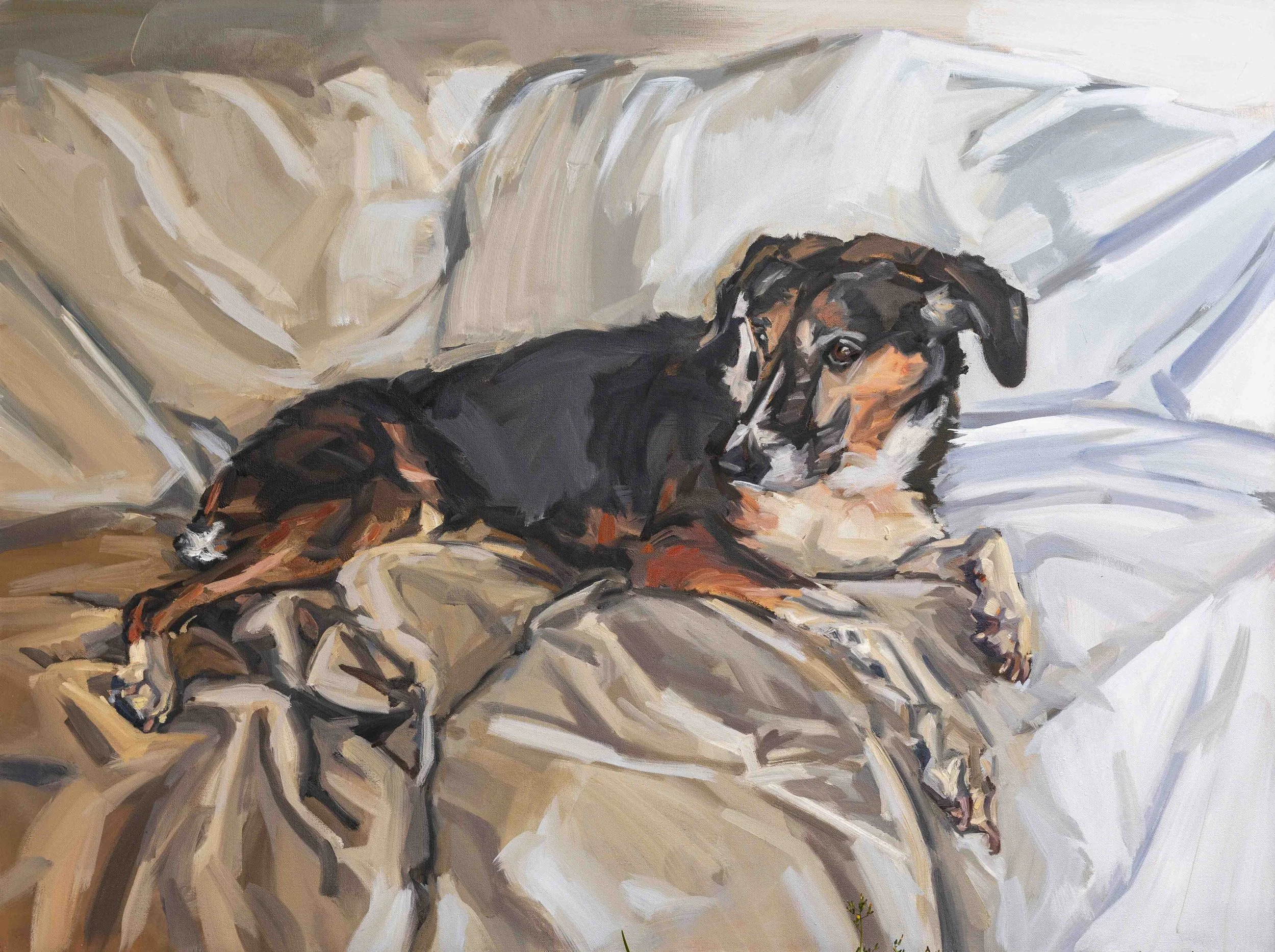 Tippy, oil, 36 x 54 inches (sold) 