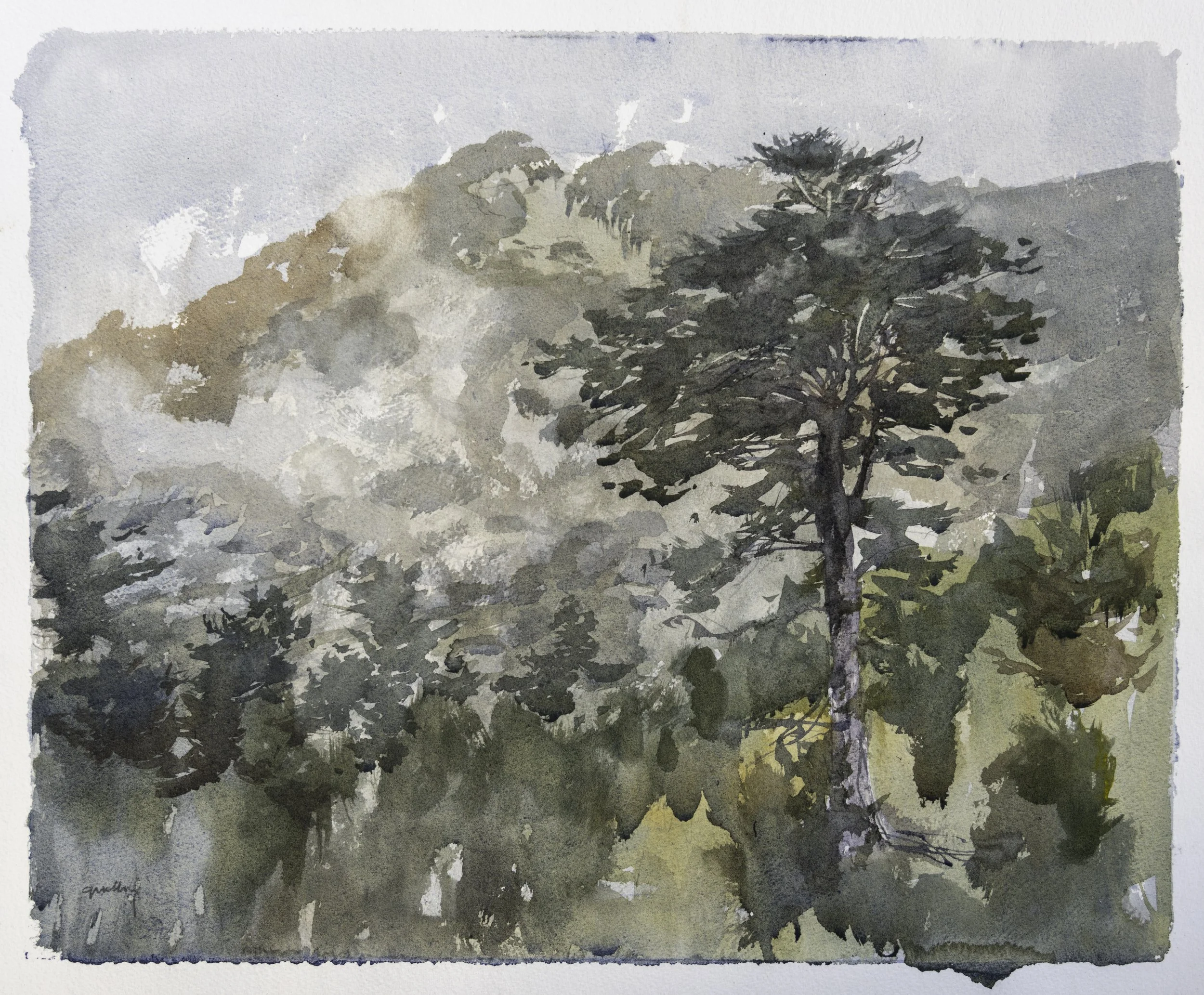 Watercolor, 18 x 24 inches