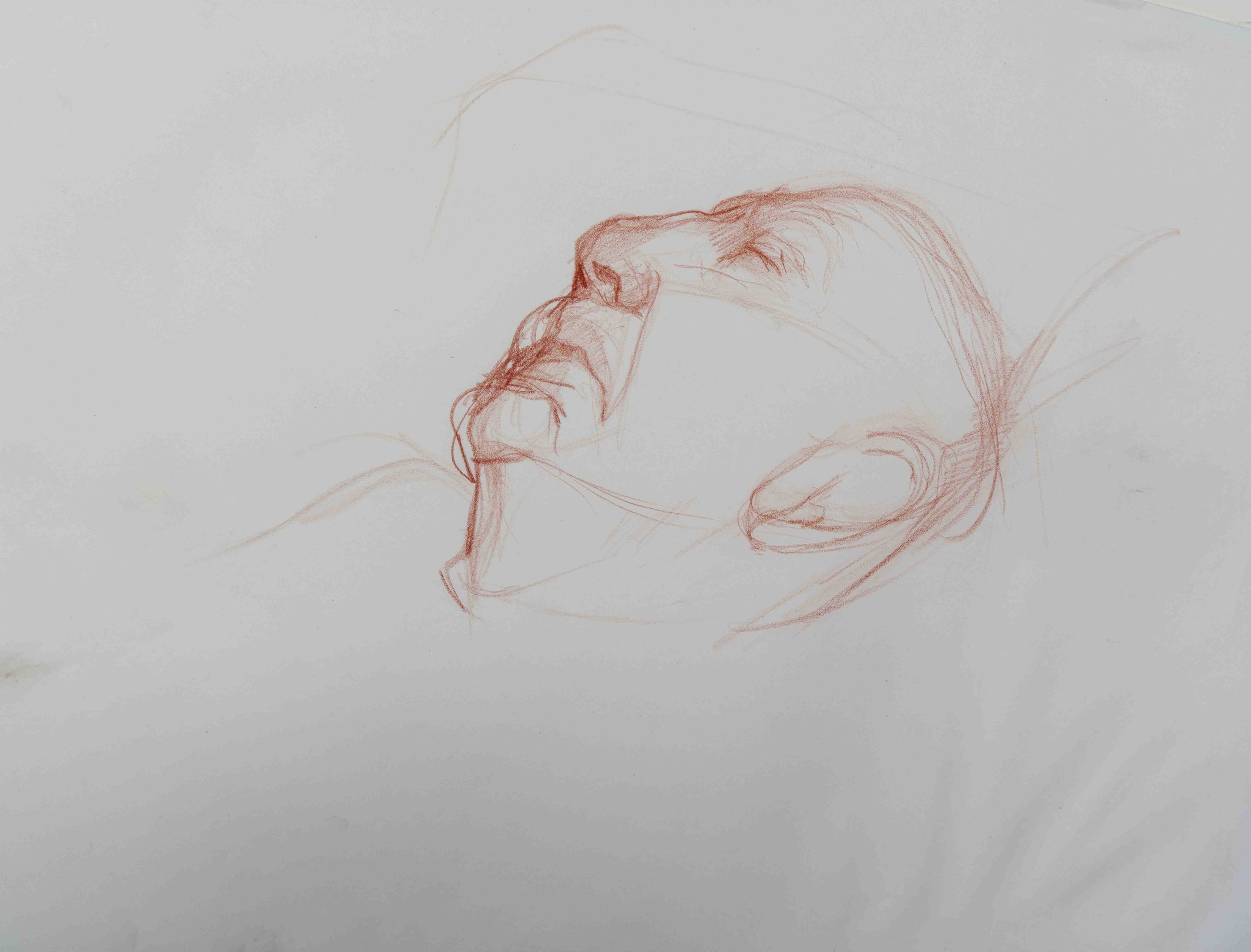 Father, 11 x 17 inches