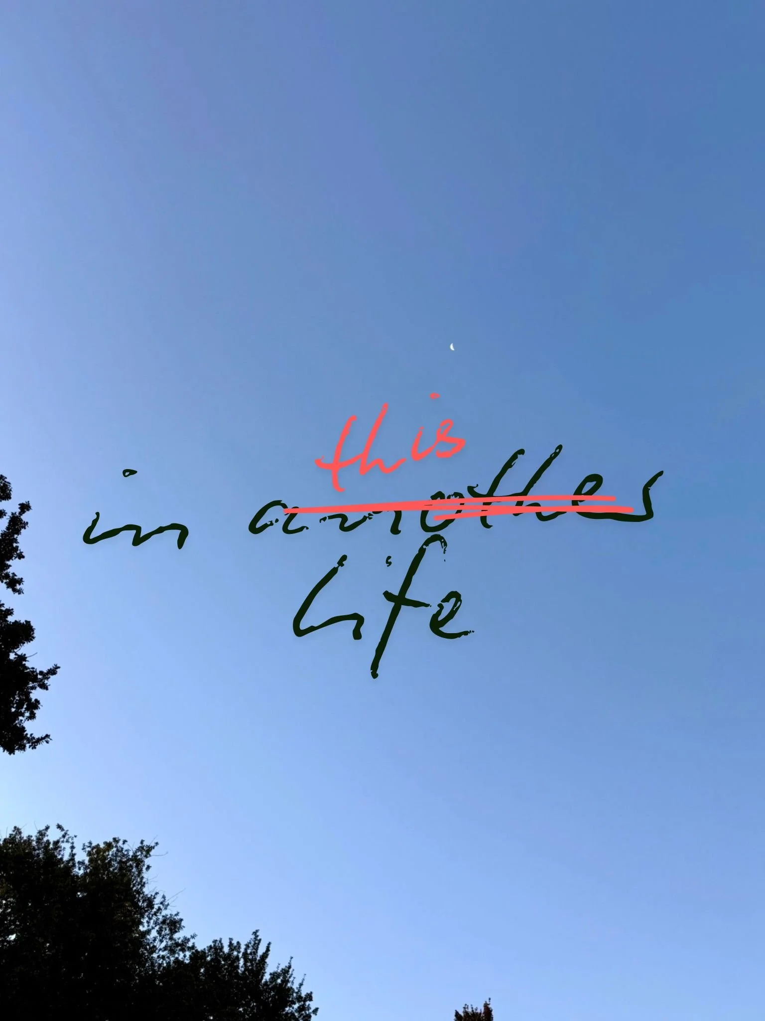 In Another Life: What We Say When We’re Afraid to Begin
