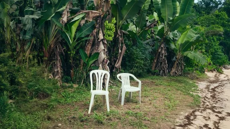 History Class with Bad Bunny