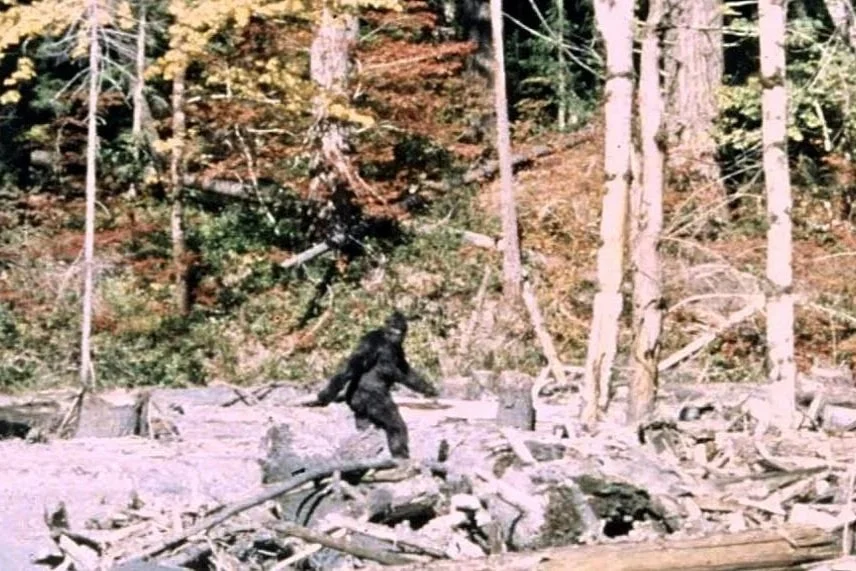 The Guide to Cryptids of the Pacific Northwest