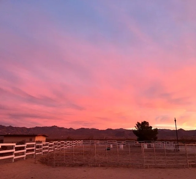 Mountain View Ranch Joshua Tree, LLC