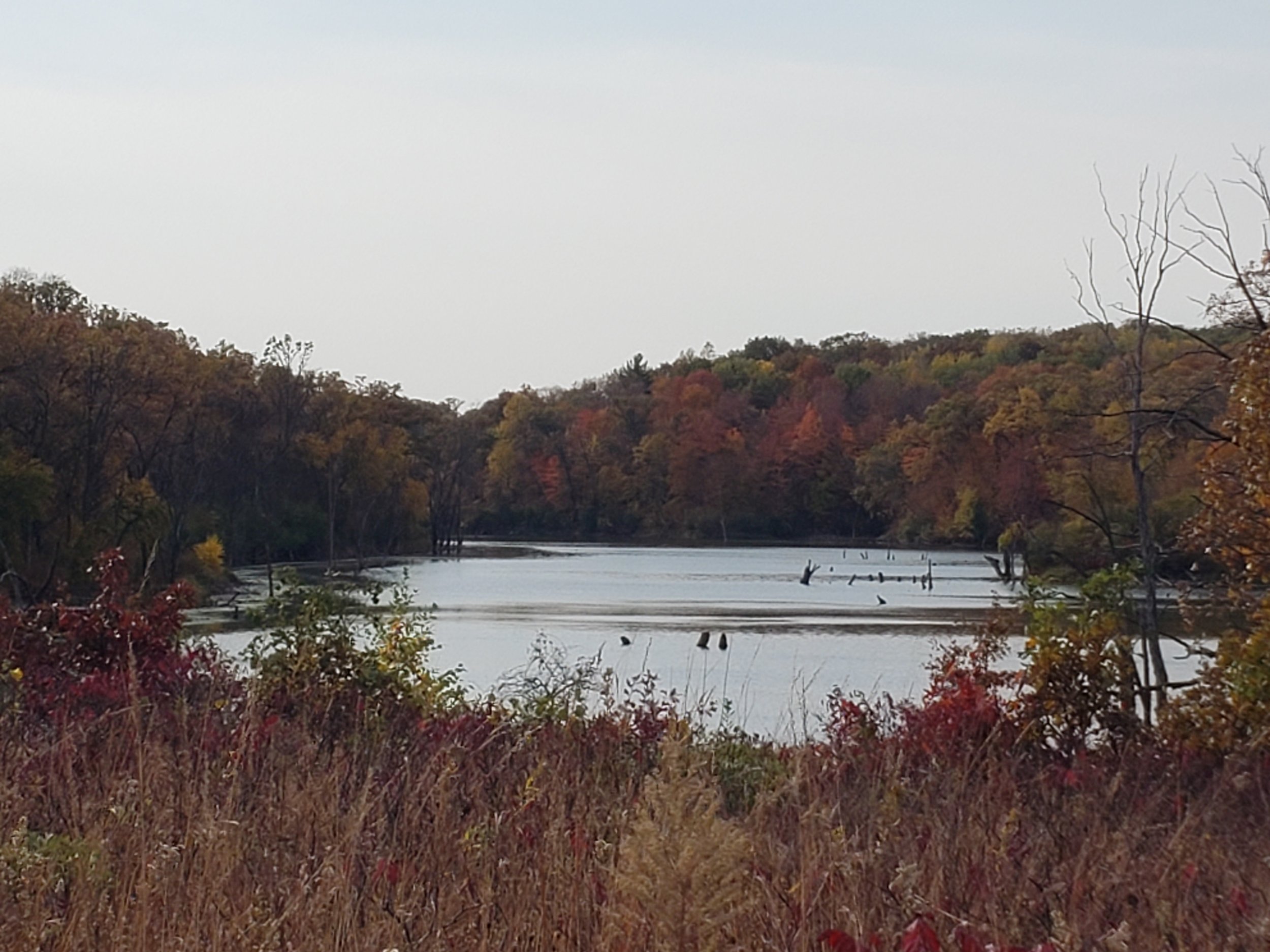 RASC Hike - Chester Woods