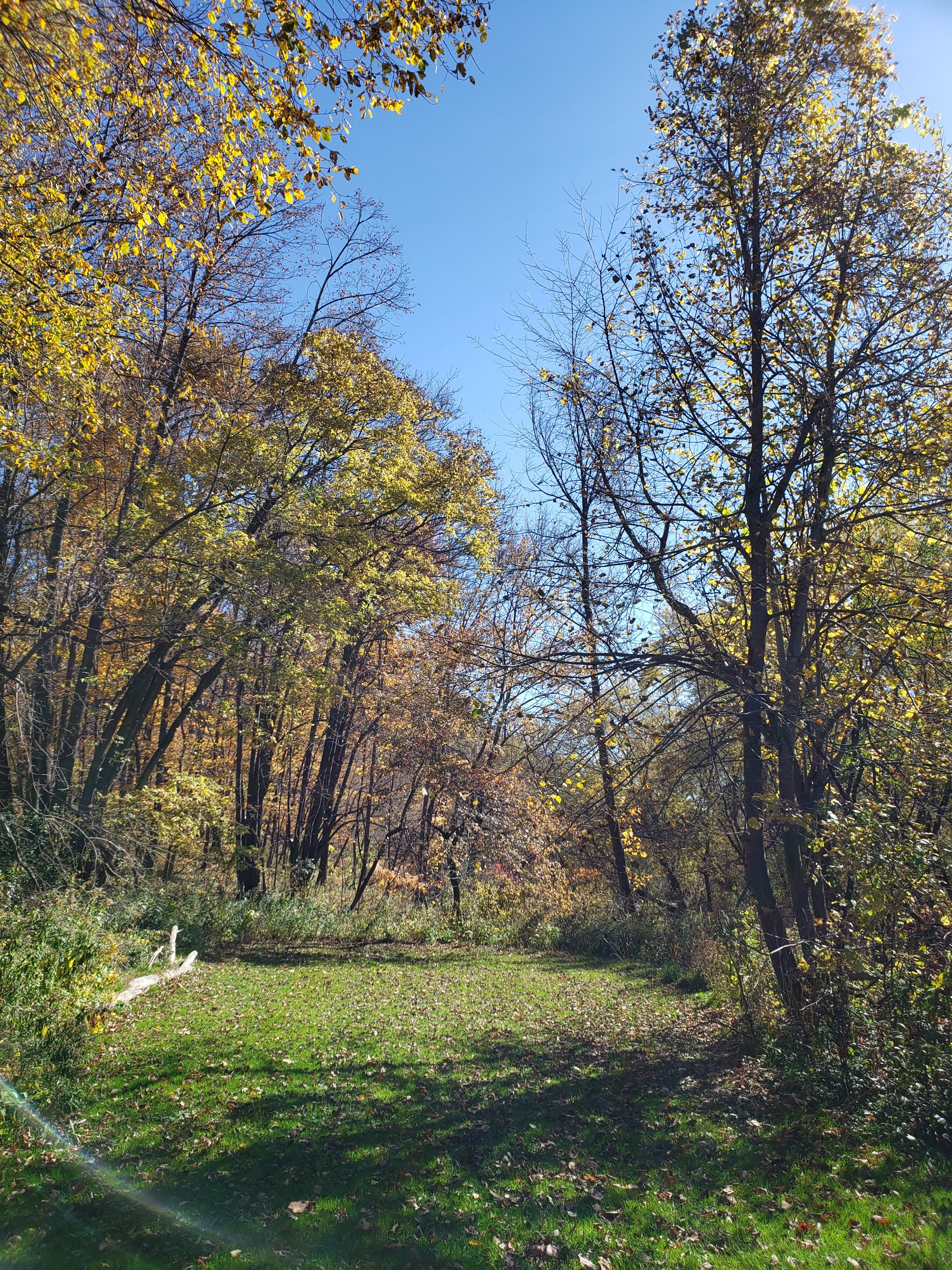 Inaugural RASC Hike Oxbow Park