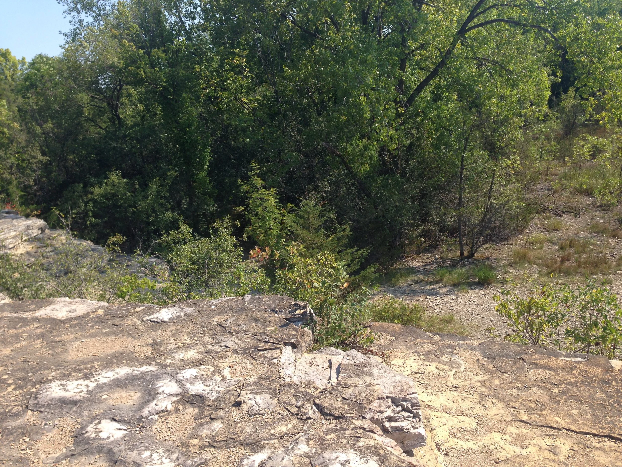 RASC Hike - Quarry Hill
