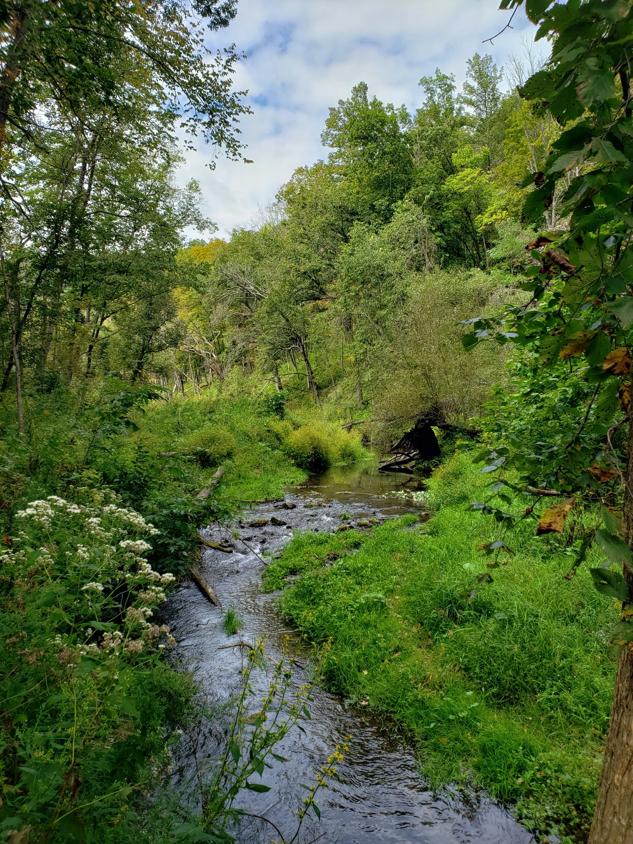 RASC Hike - Whitewater State Park