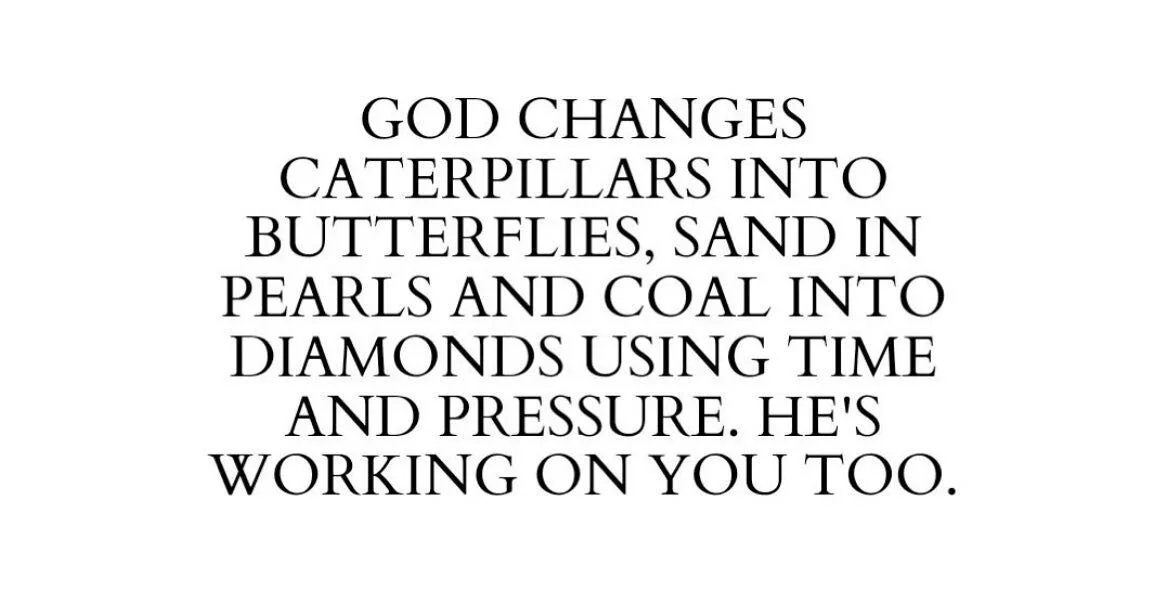 Clover Lane Properties LLC