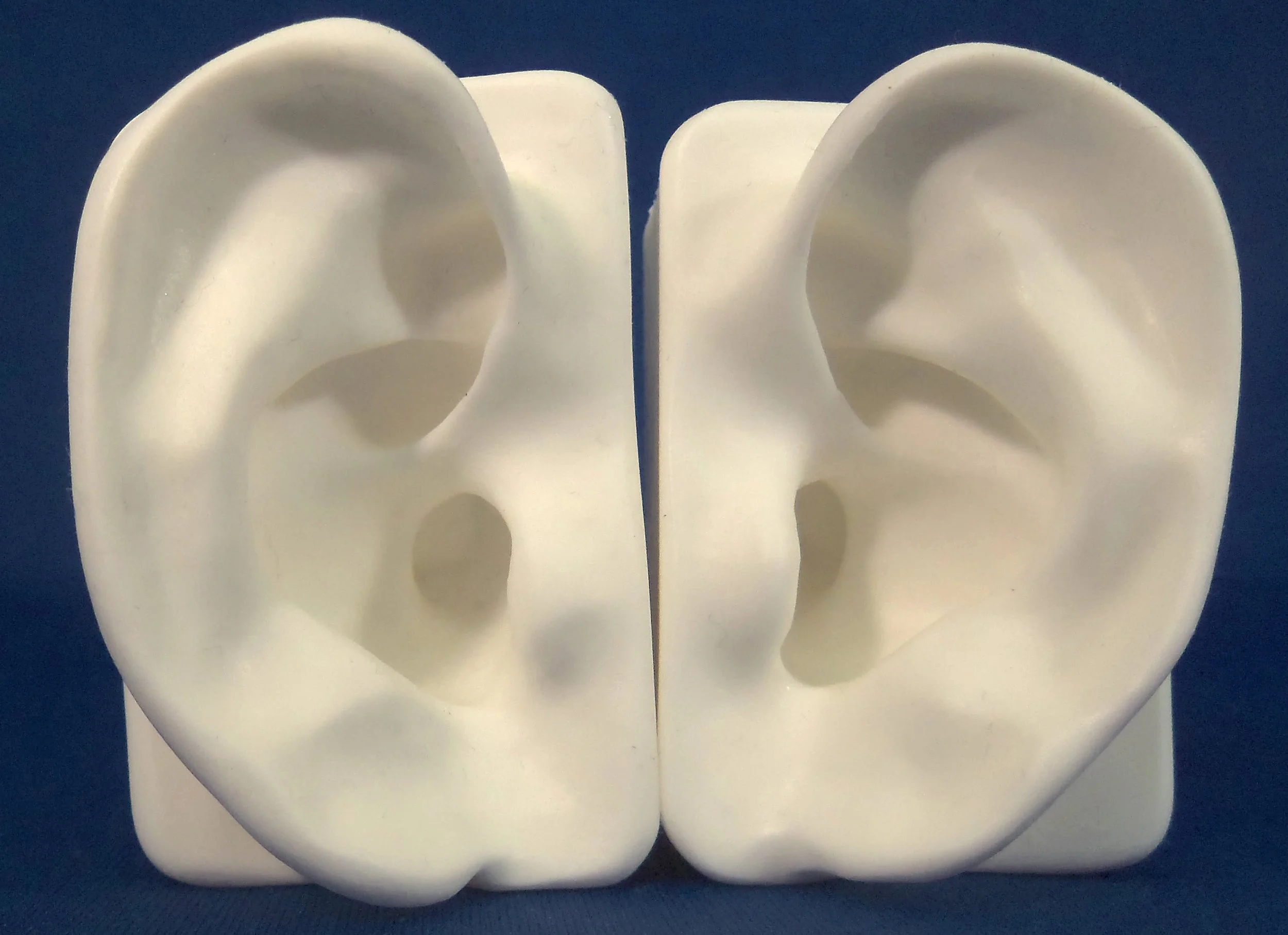 WHITE DEMO EARS,SILICONE EARS