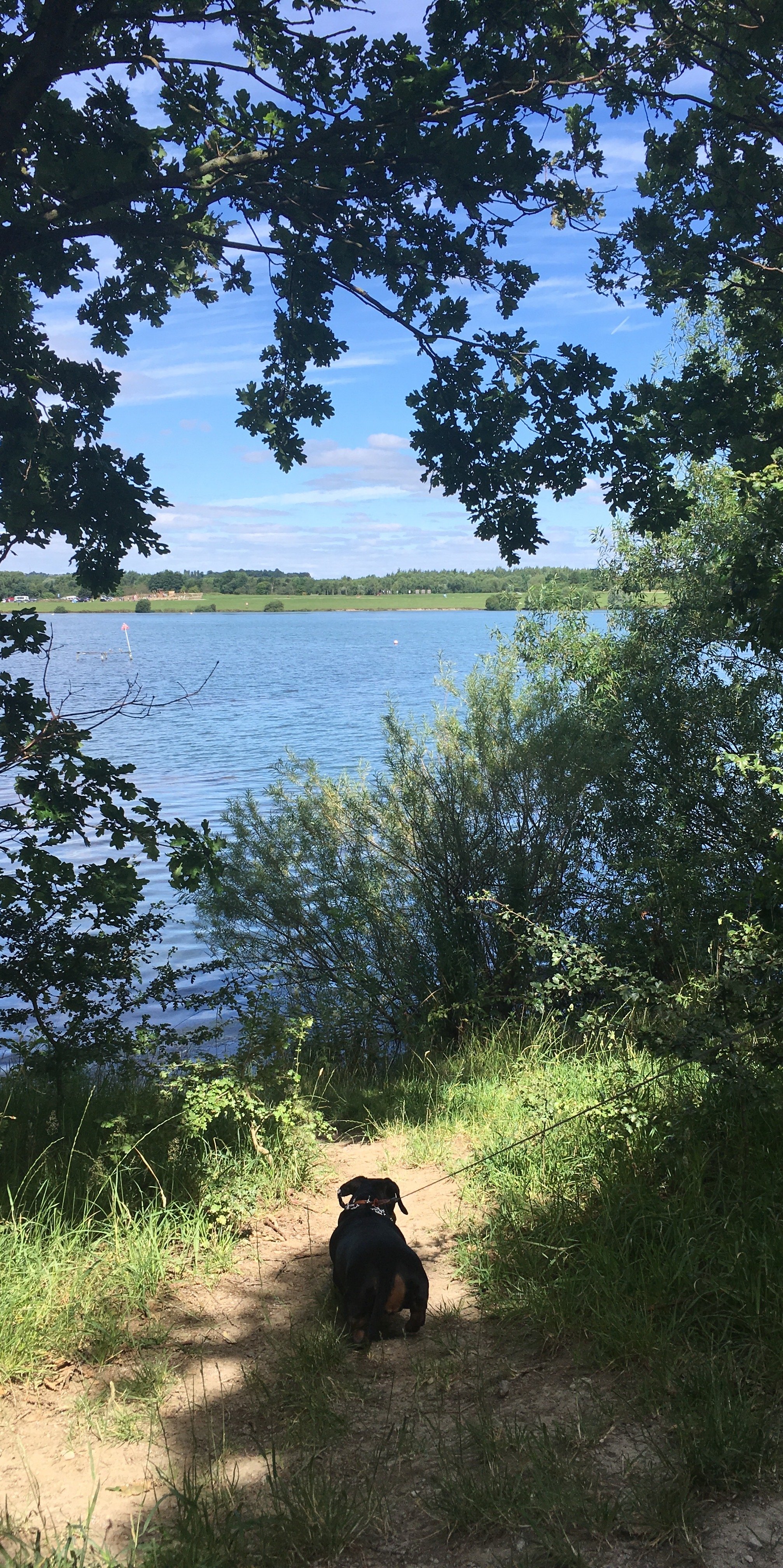 Pugneys Betty down a path.jpg