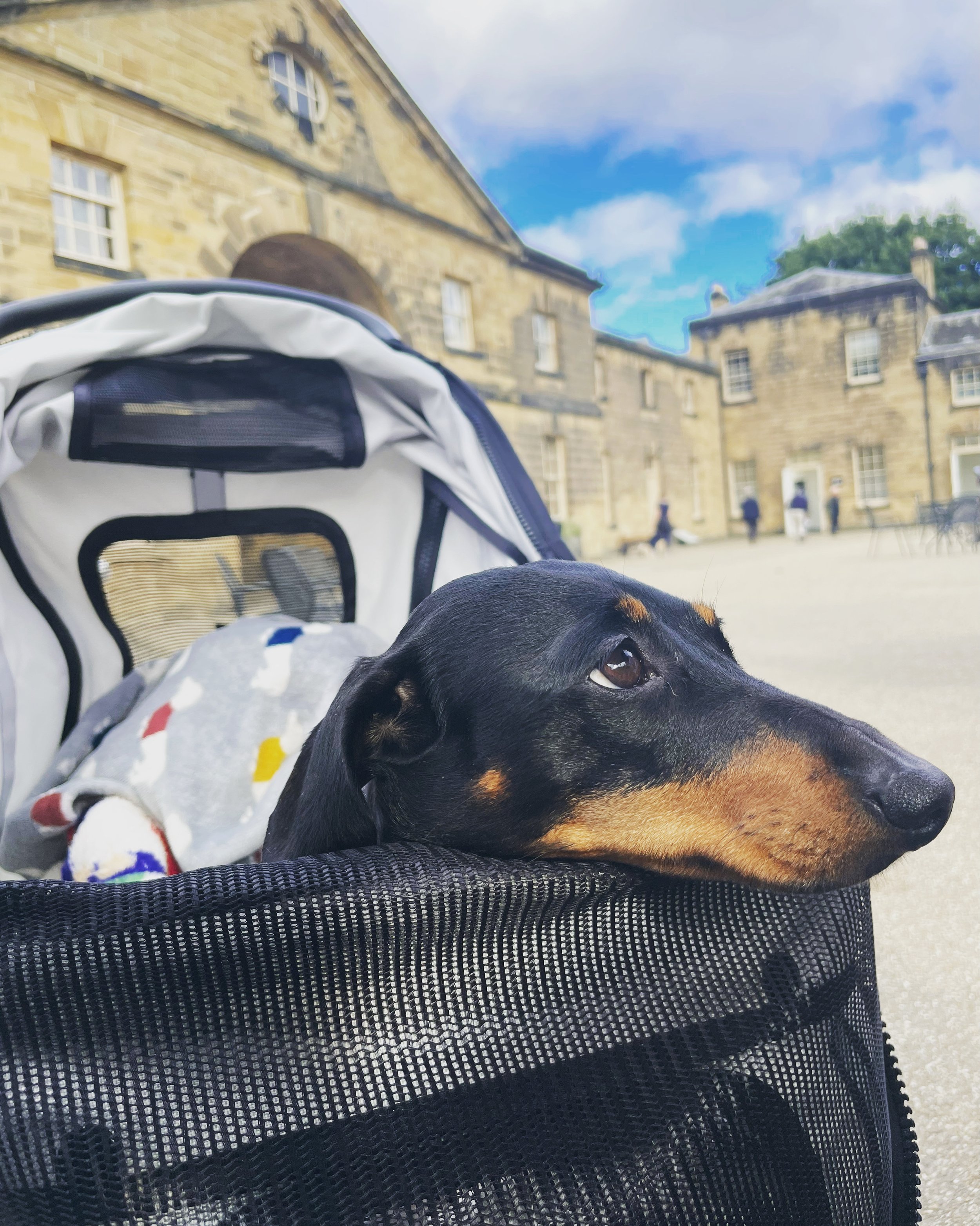 Nostell Betty pram.jpeg