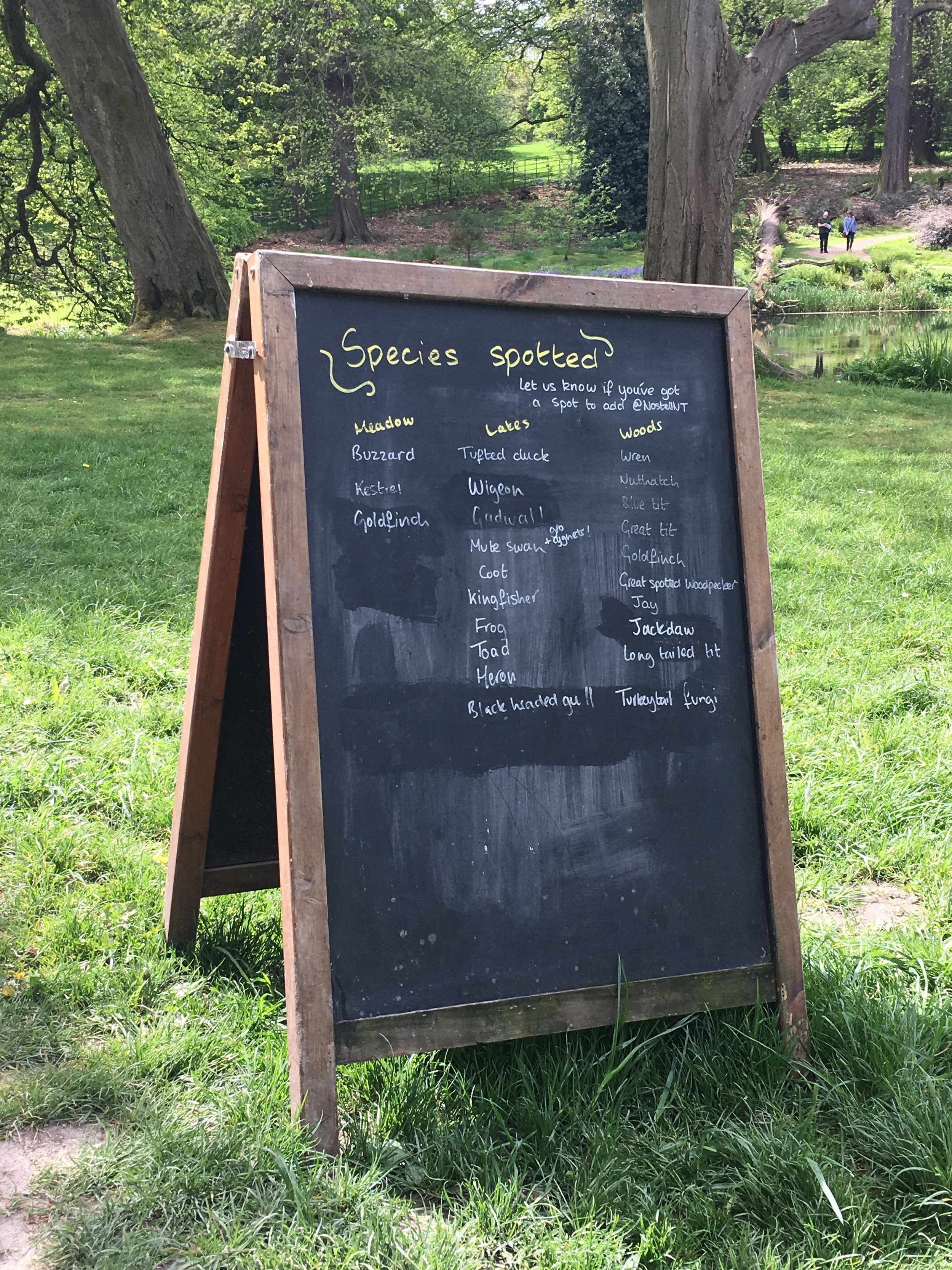 Nostell birds.jpeg