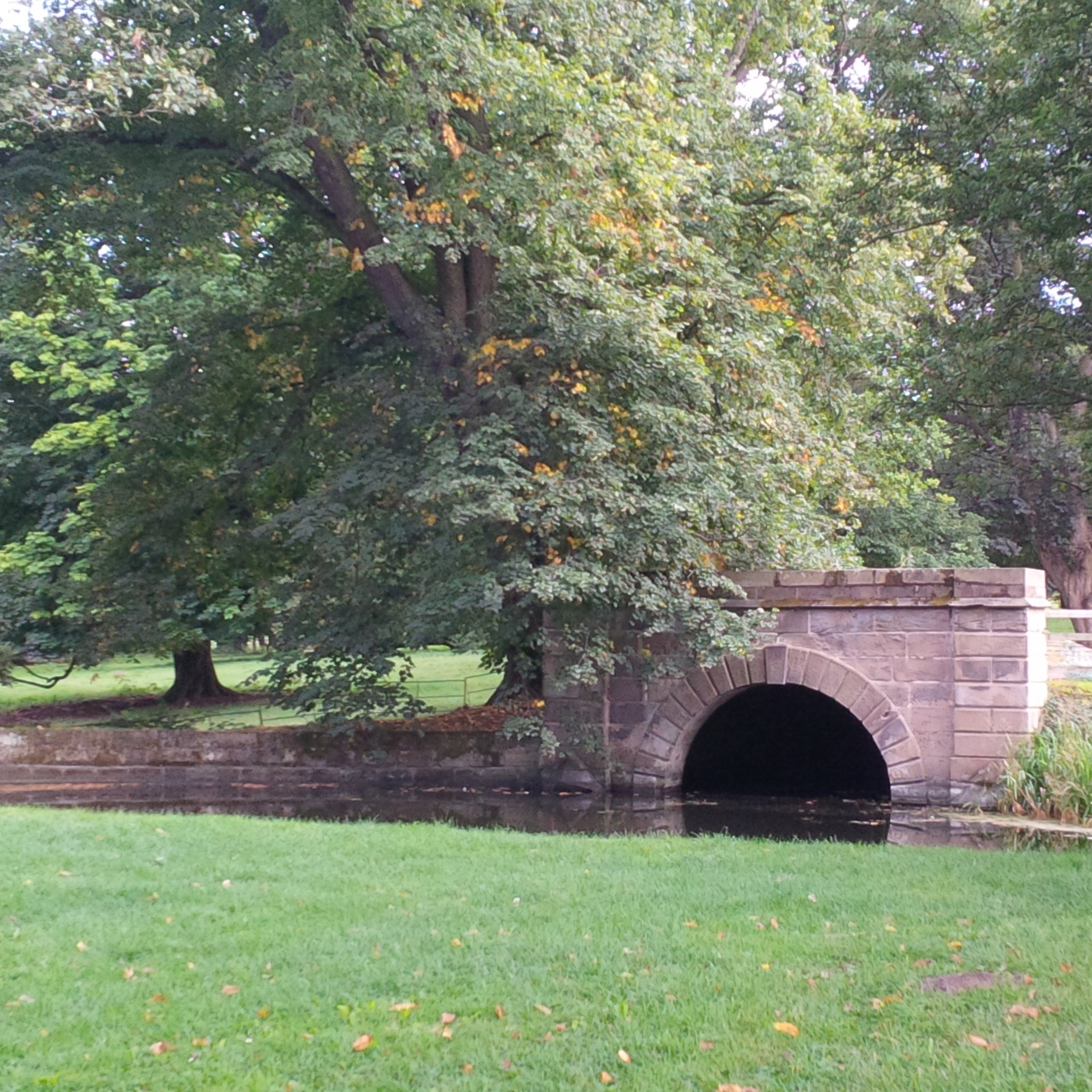 Nostell bridge.jpeg
