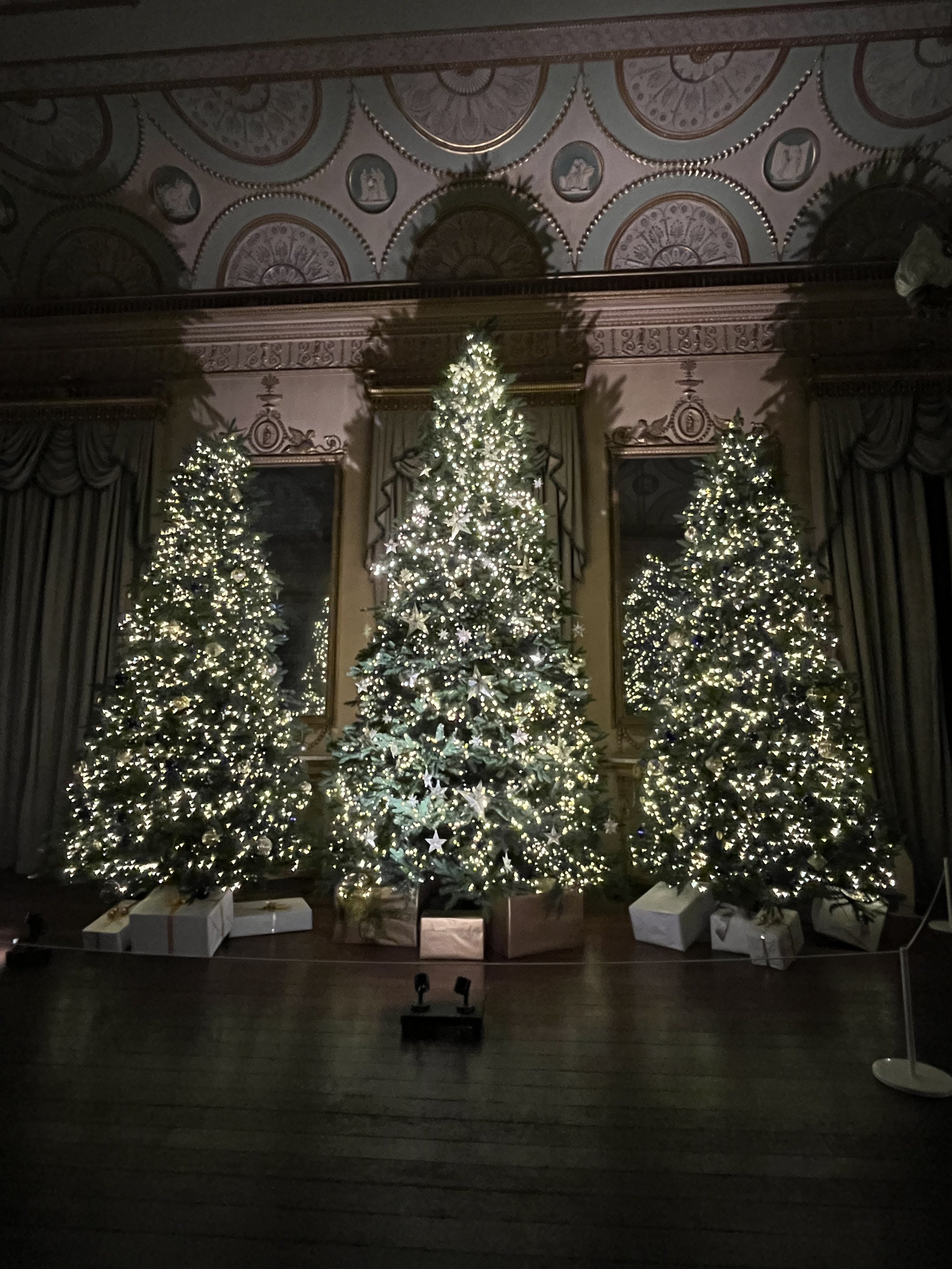 Nostell Christmas trees.jpeg
