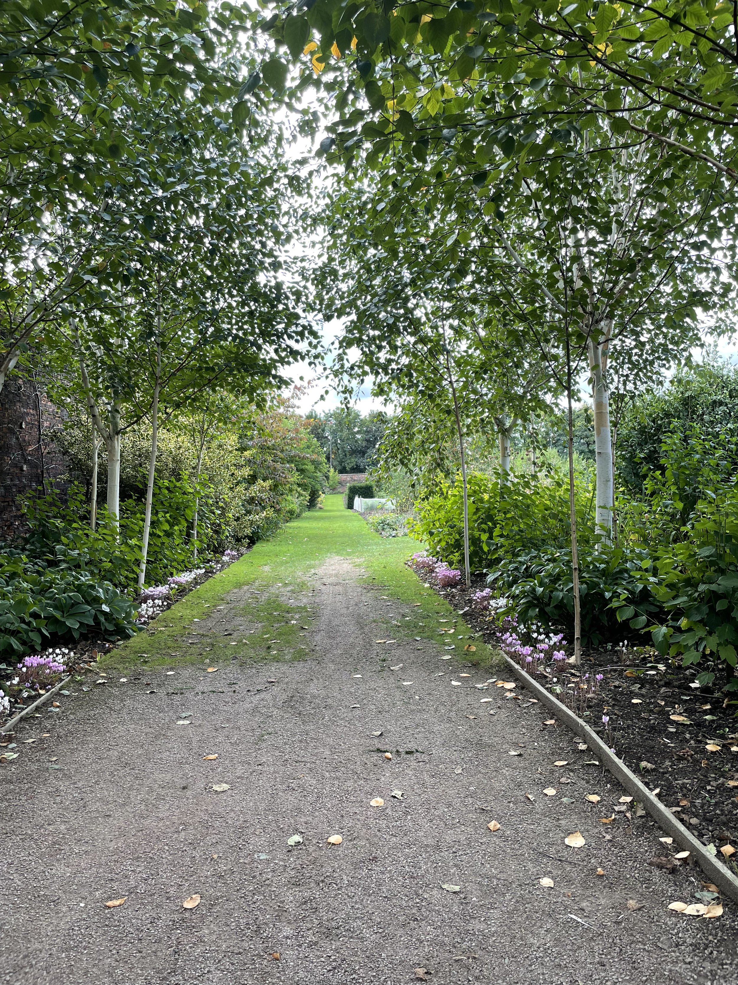 Nostell garden.jpeg
