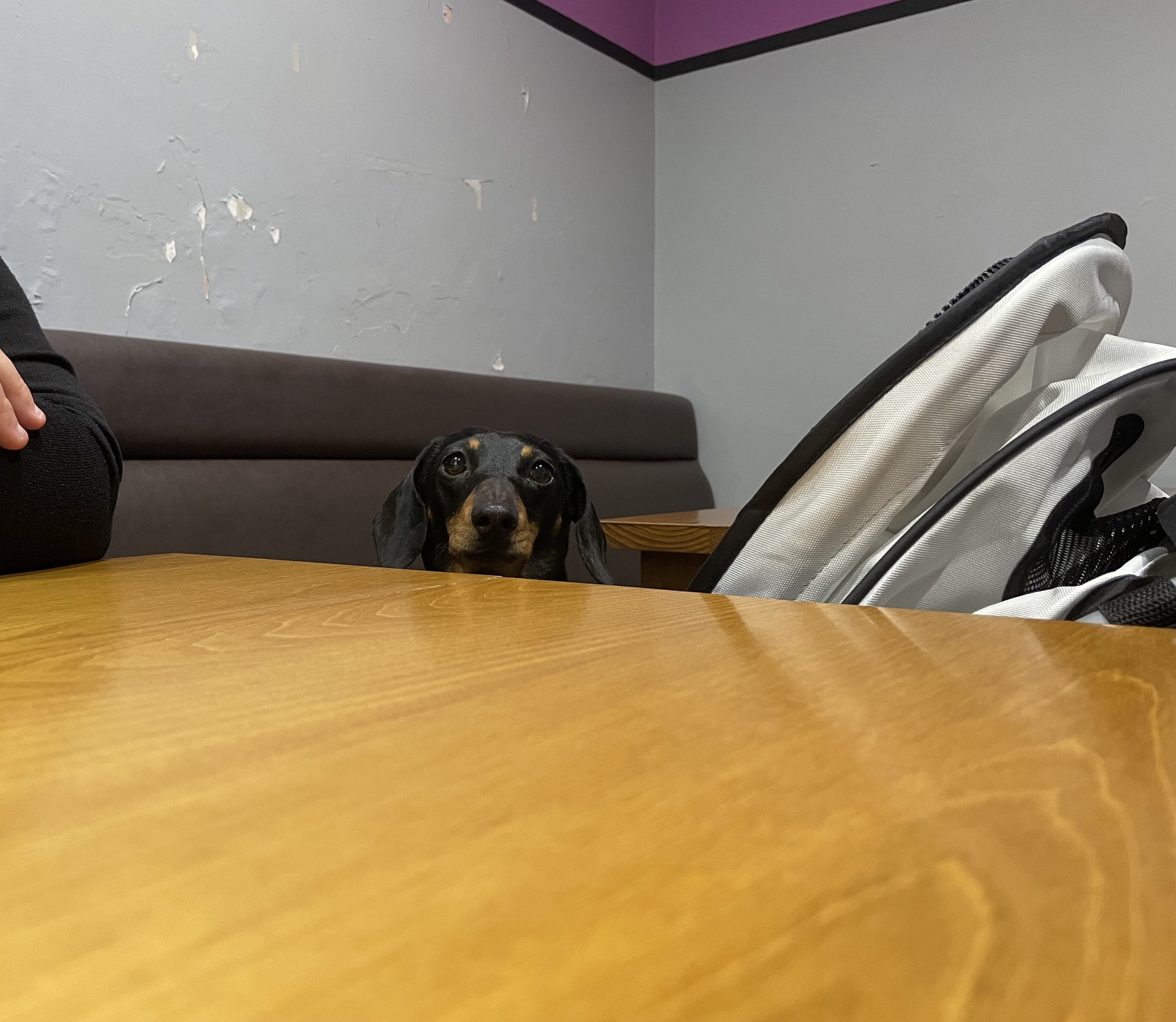 Nostell Betty cafe.jpeg