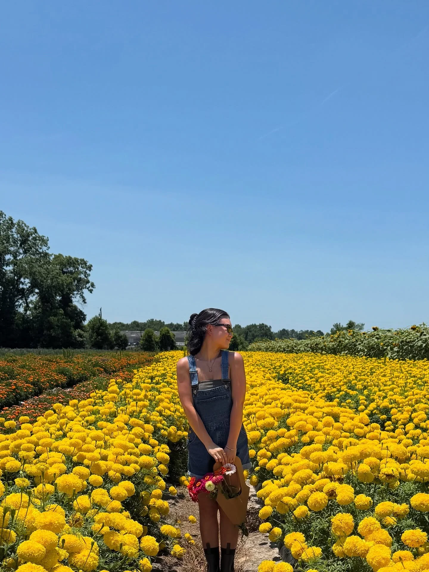 The summer where I prioritized a regulated nervous system 🌼🌱💛