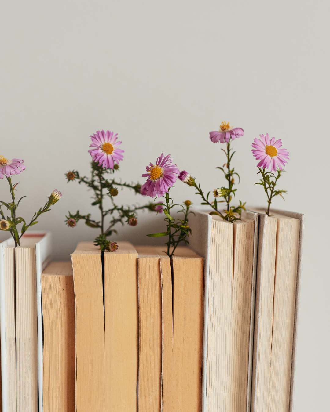 Wild flowers poking through books