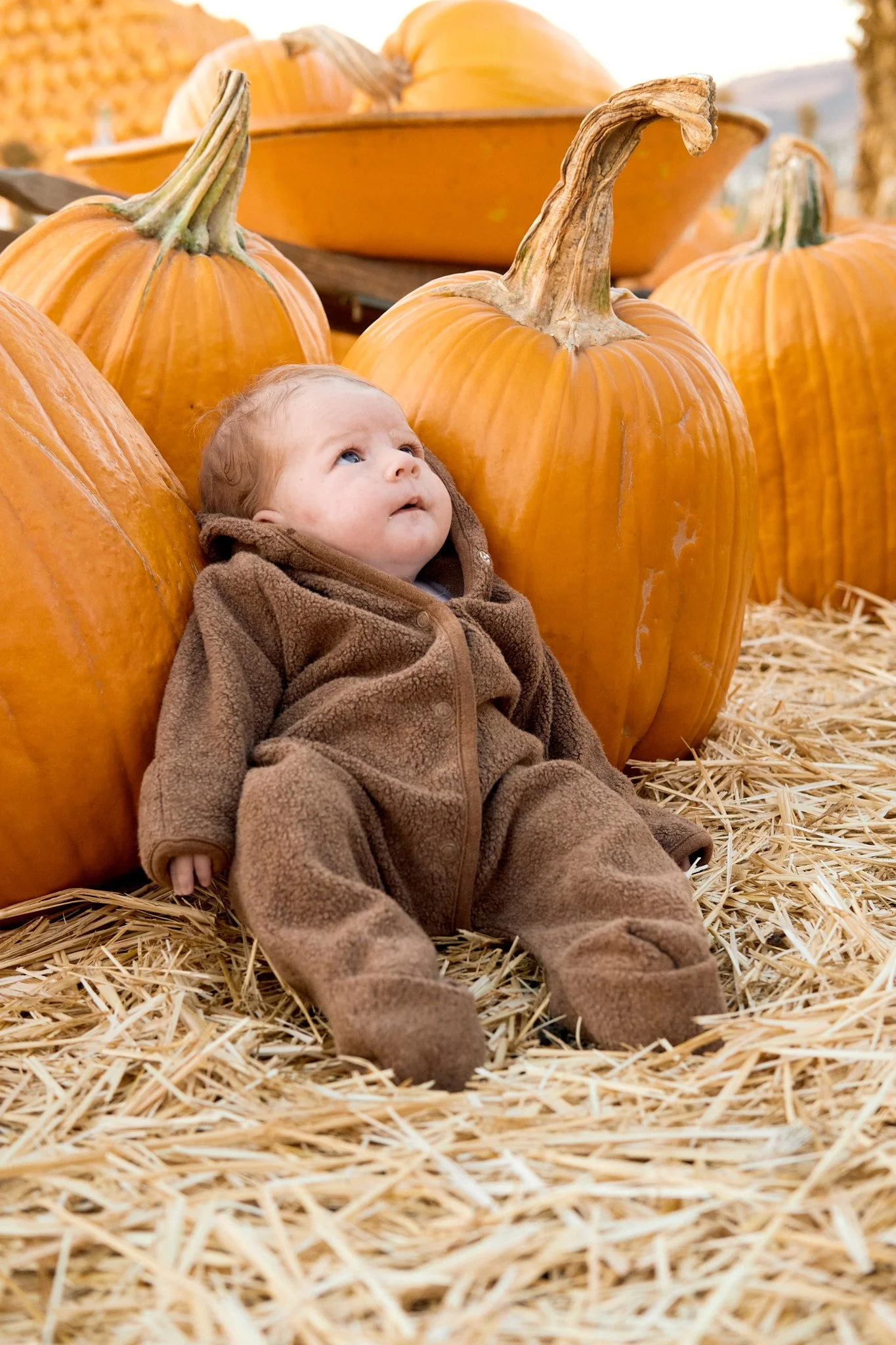 20221013_PUMPKIN_PATCH_0783.jpg