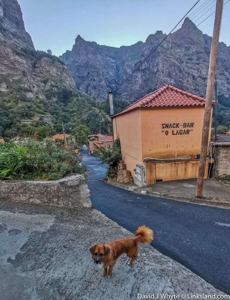 Curral das Freiras, (Nun's Valley), Chestnut Harvest, Madeira © David J Whyte @ linksland.com (1 of 1)-8.jpg