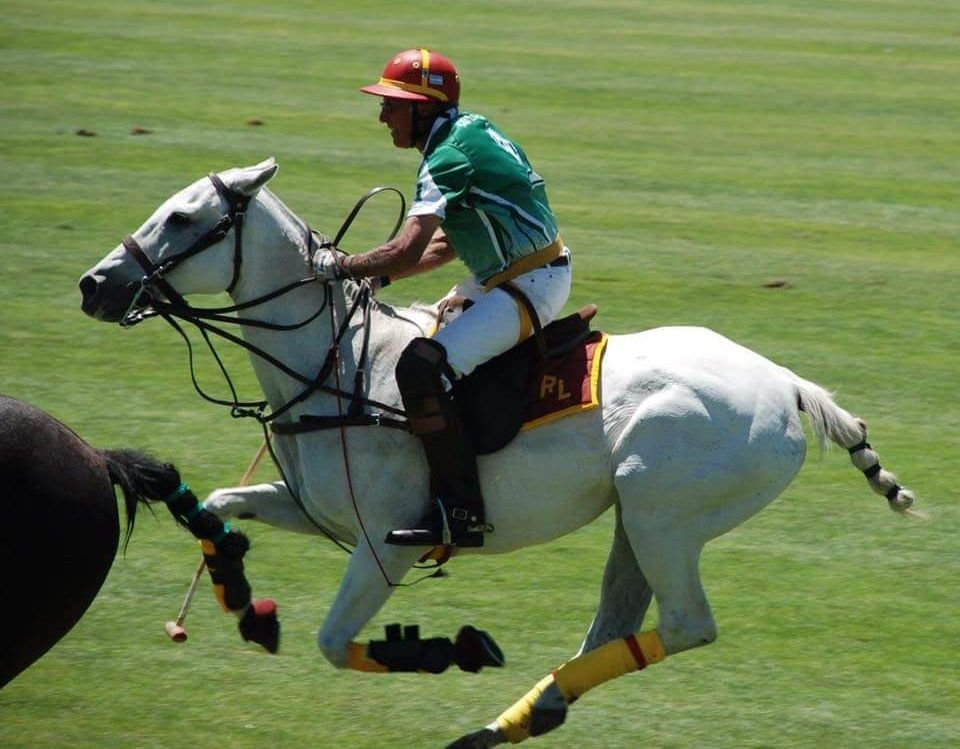 Godiva - This mare is more than special. She is an Argentine TB who played polo for 13 years of her life. She was the go-to mount for leading polo rider in the world Aldolfo Cambiaso and can be seen in some of the Ralph Lauren Polo ads. She was known