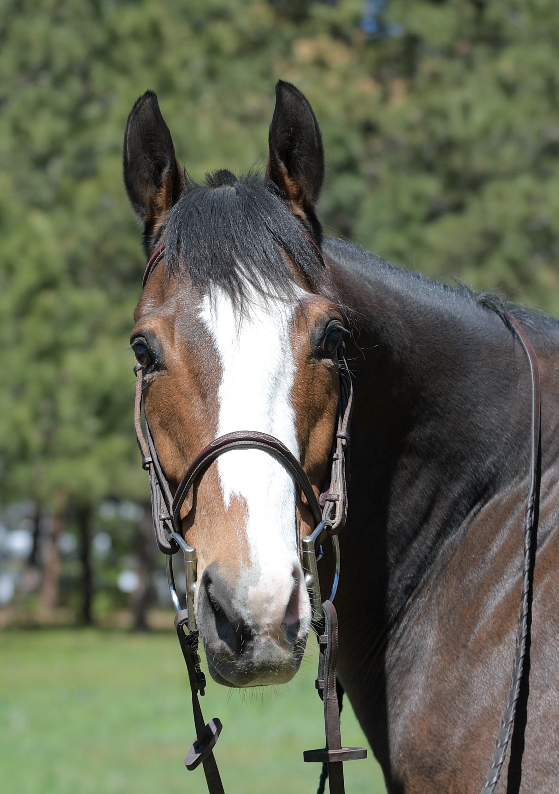 051724_EER_Preacher 0007-3.jpg