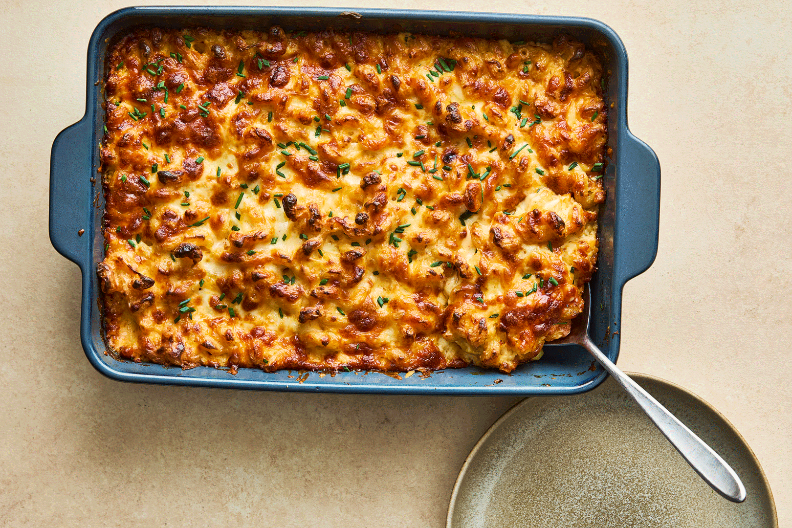 Mac-&-Cheese.gif