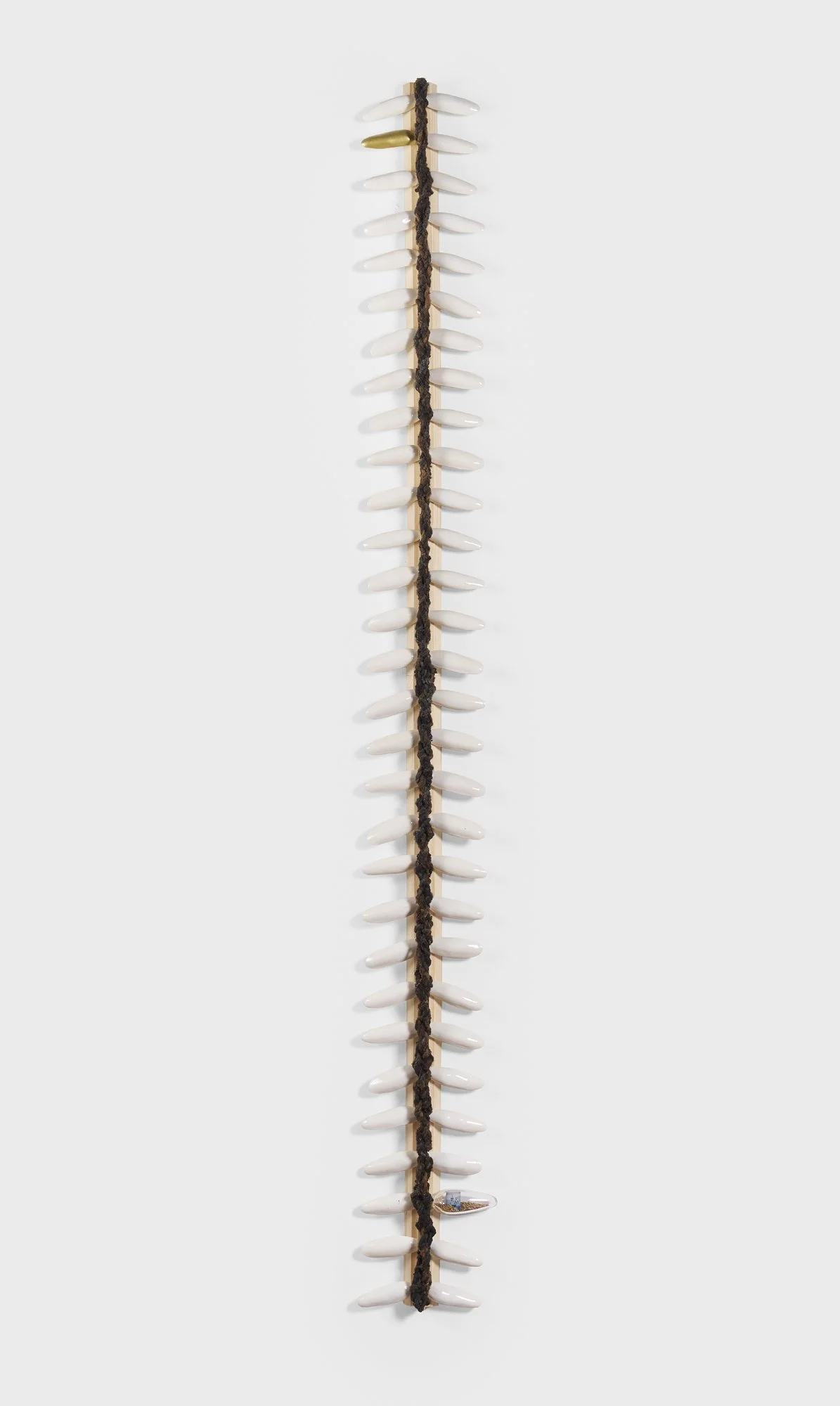 Backbone;
2026.
120” x 15” x 4”
Stoneware, wood, glass, hair, photo transfer, paint and rice. 
***Chris Gardner Photo courtesy of NXTHVN*** 