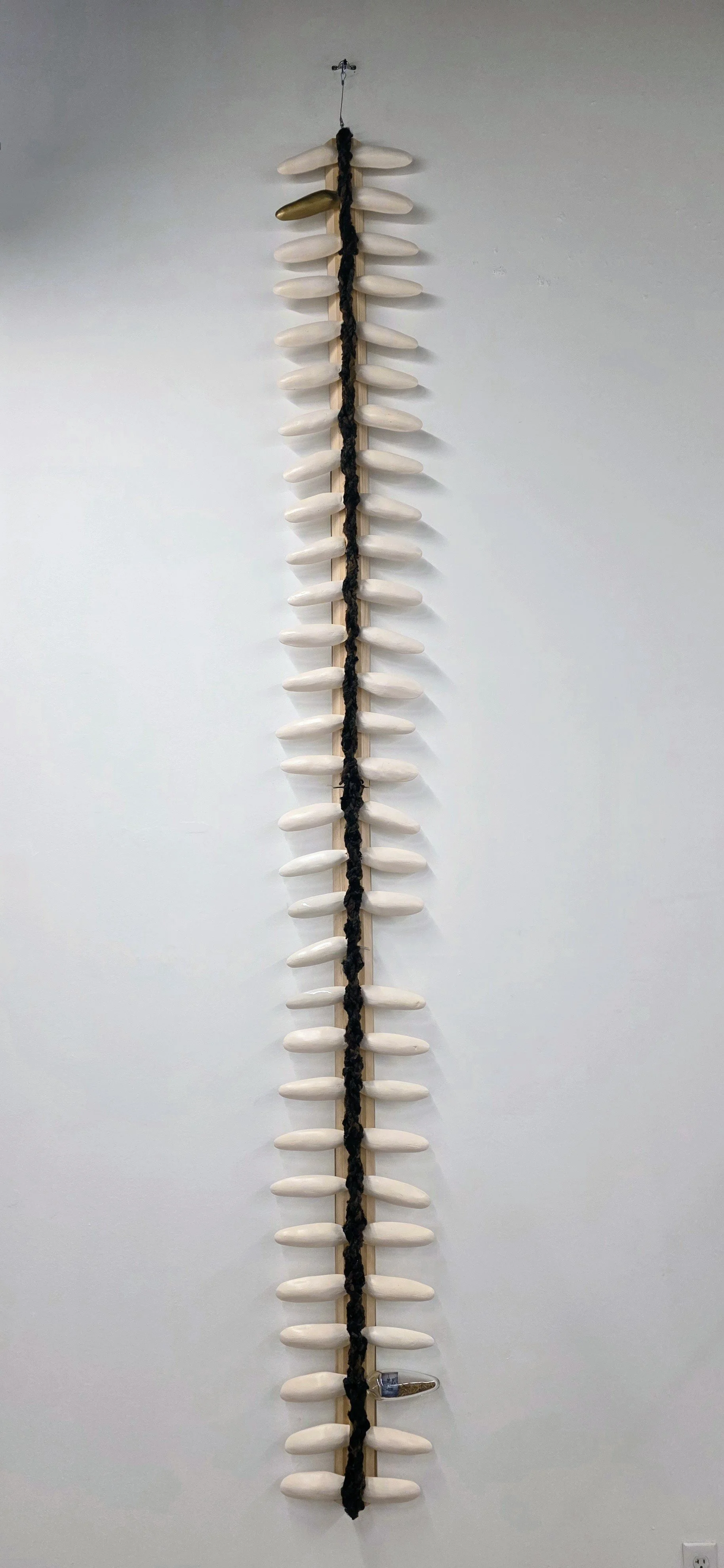 Backbone,
2026
120” x 15” x 4”
Stoneware, wood, glass, hair, photo transfer, paint and rice.  This work addresses the link between the Black body and rice production in the Carolina's.