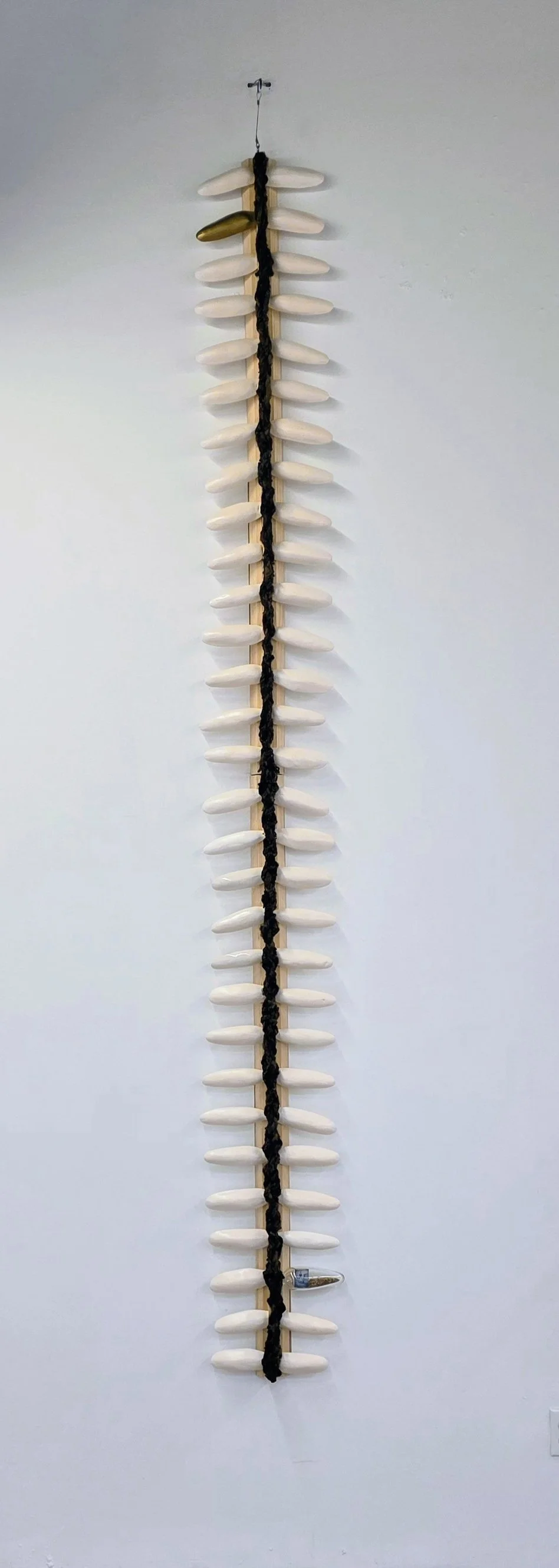 Backbone
2026
120” x 15” x 4”
Stoneware, wood, glass, hair, photo transfer, paint and rice. 