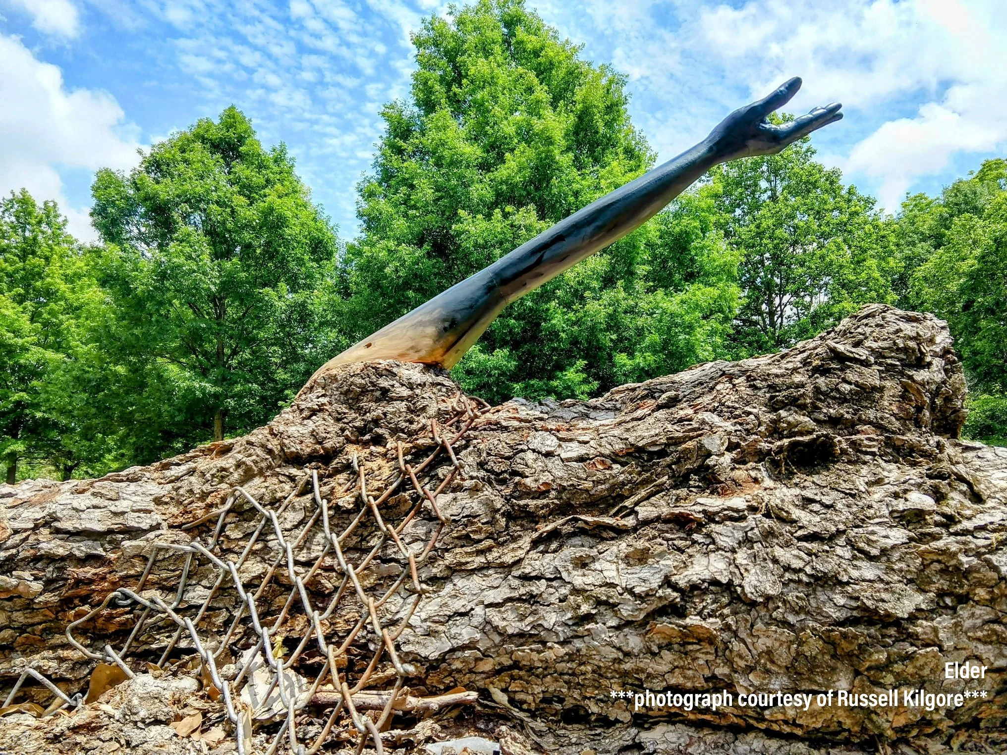 09_Elder_Detailimage .jpg