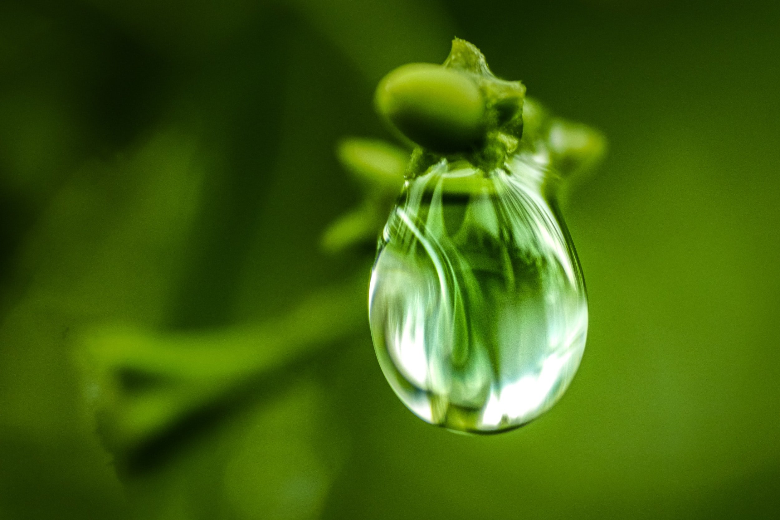 Greenwashing In Beauty