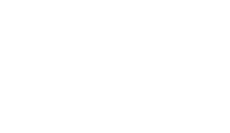 Professional Photographers of America Member