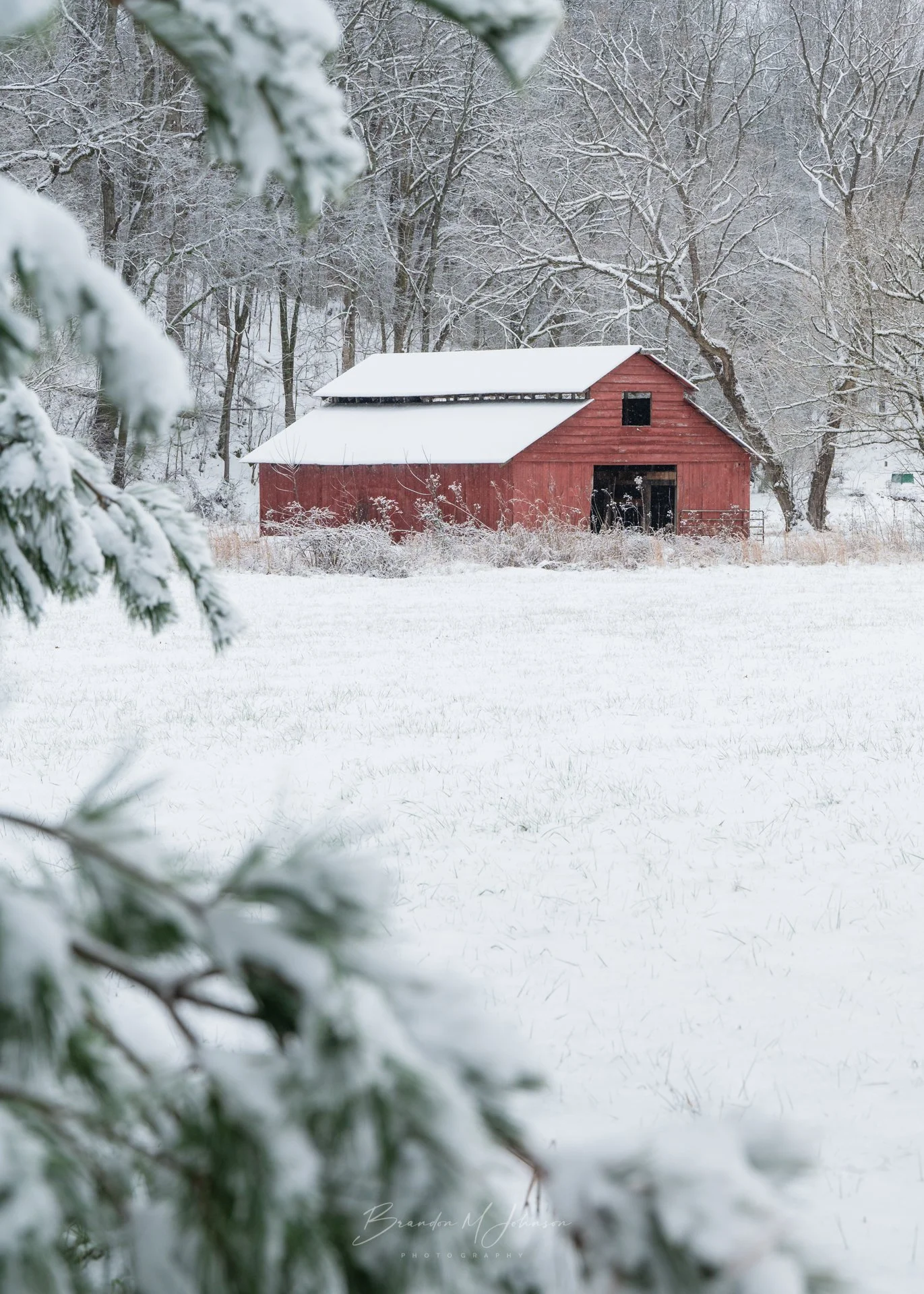 Jan 2025 Snow day 2 (8 of 8).jpg