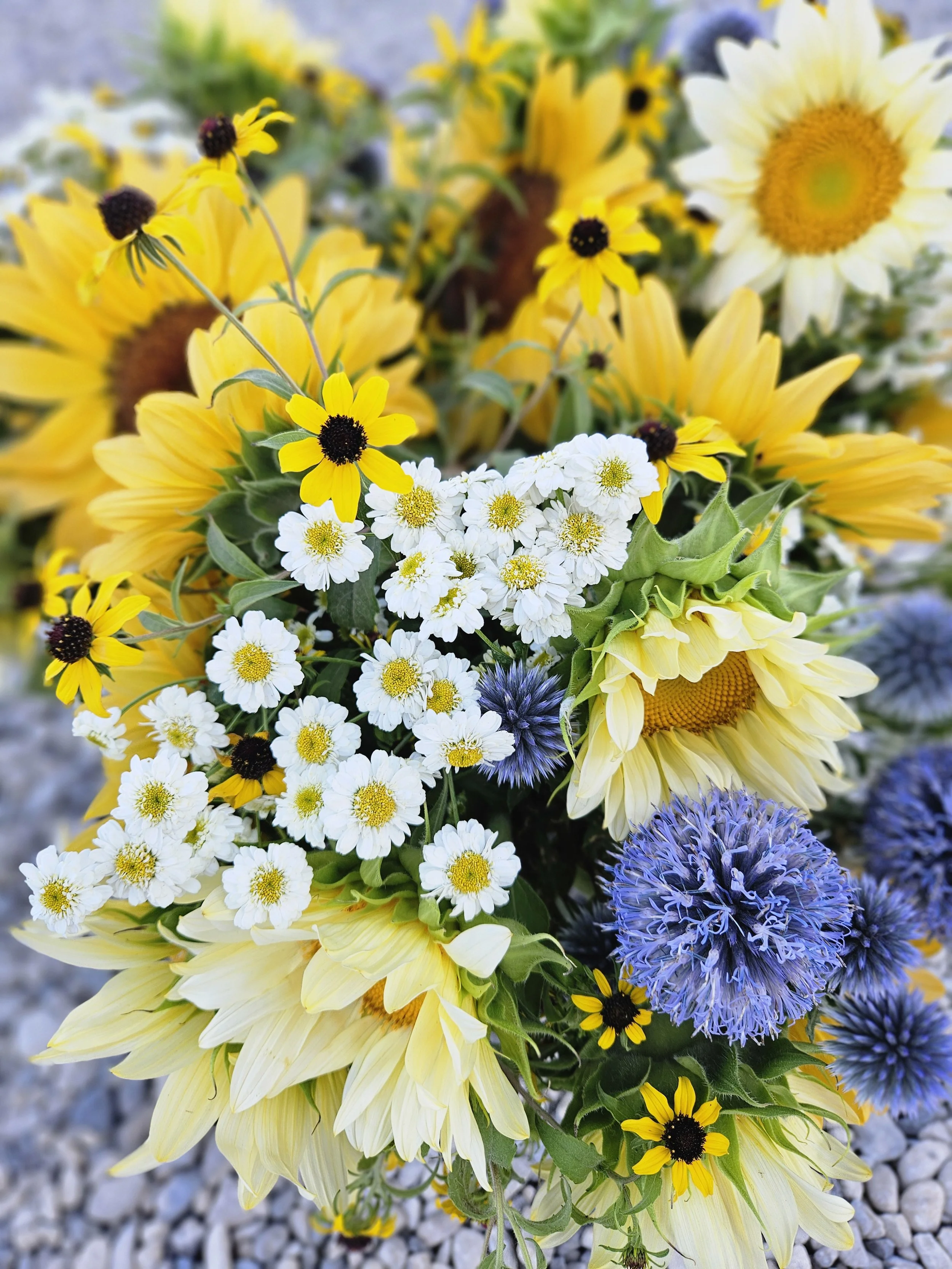 fresh cut subscription bouquet