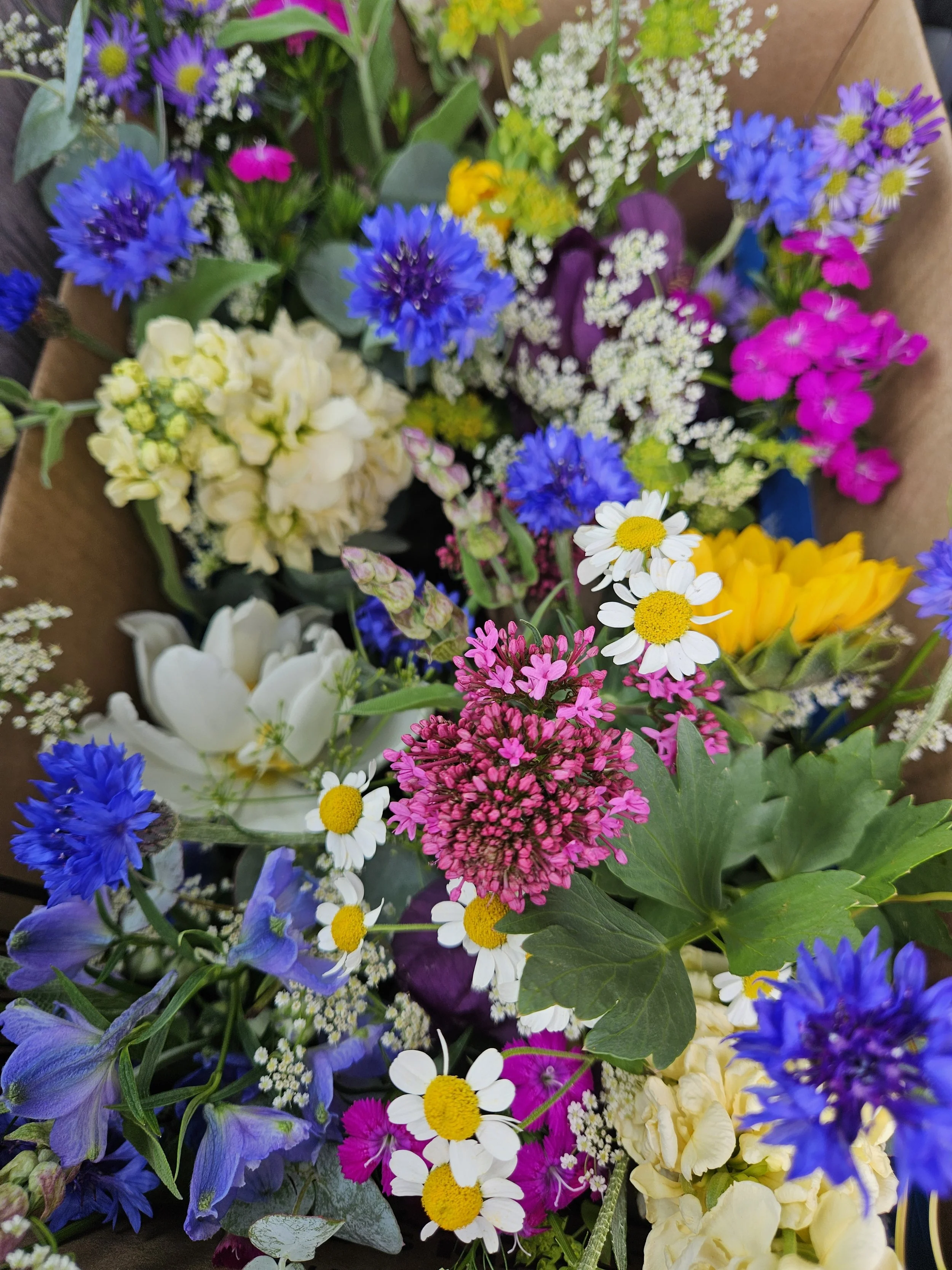 Mother's Day Double Delight Special