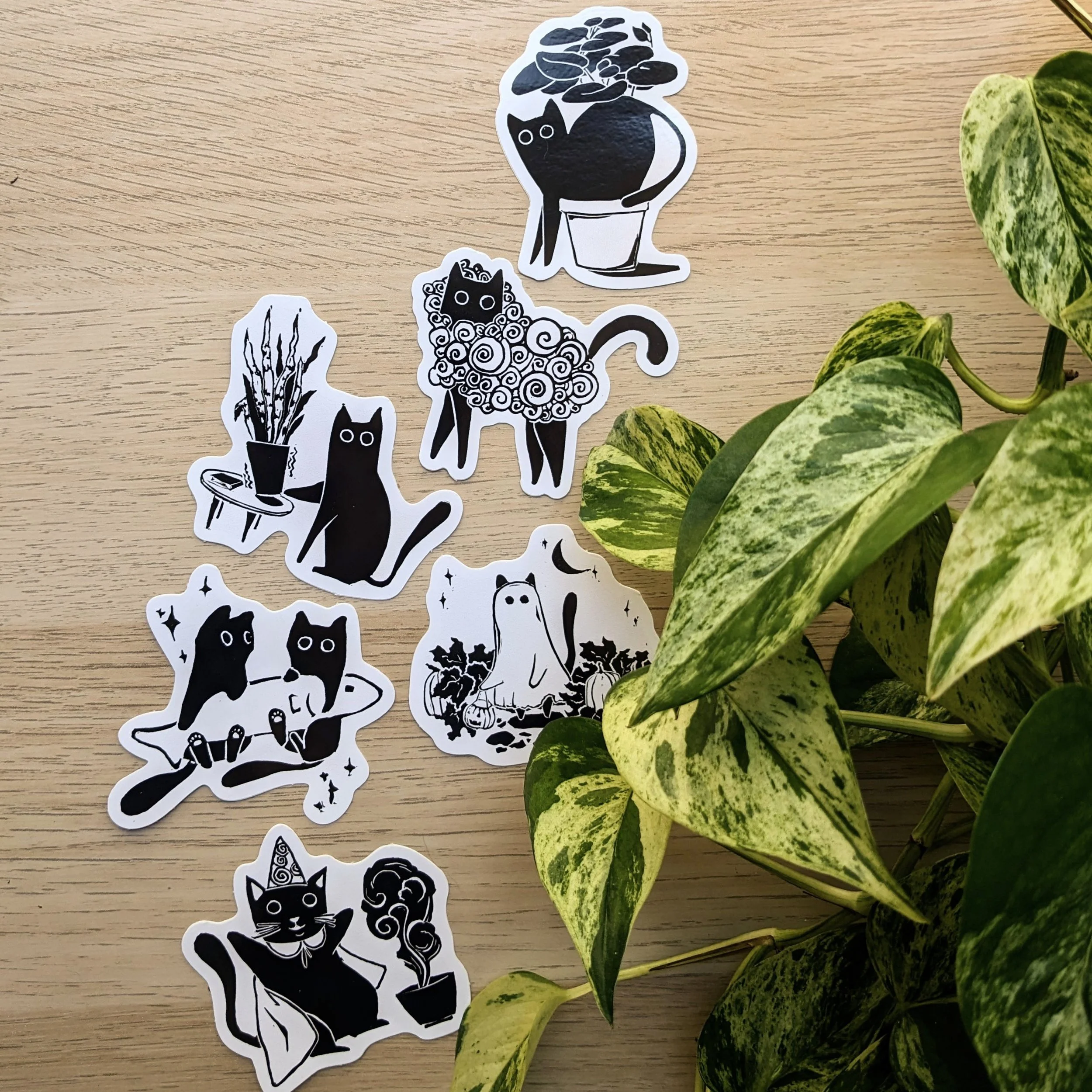 PXL_20230627_144351595~3 (1).jpg