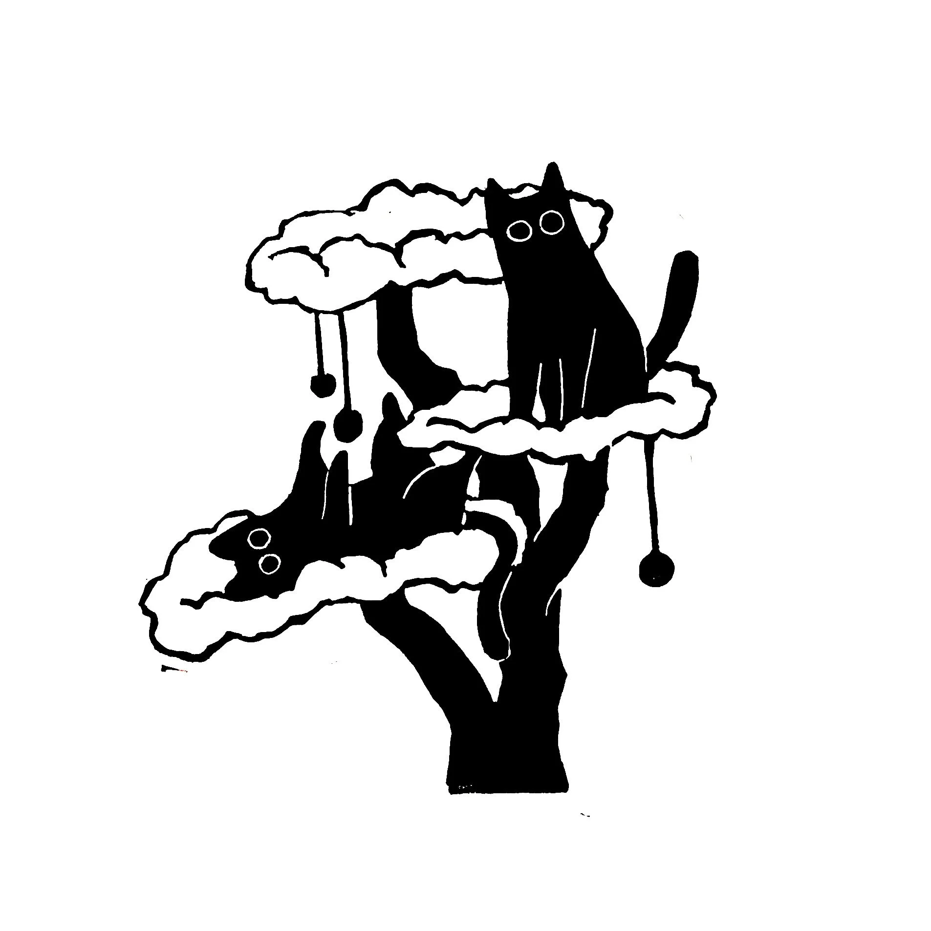 PXL_20240119_193909657~4 (1).jpg