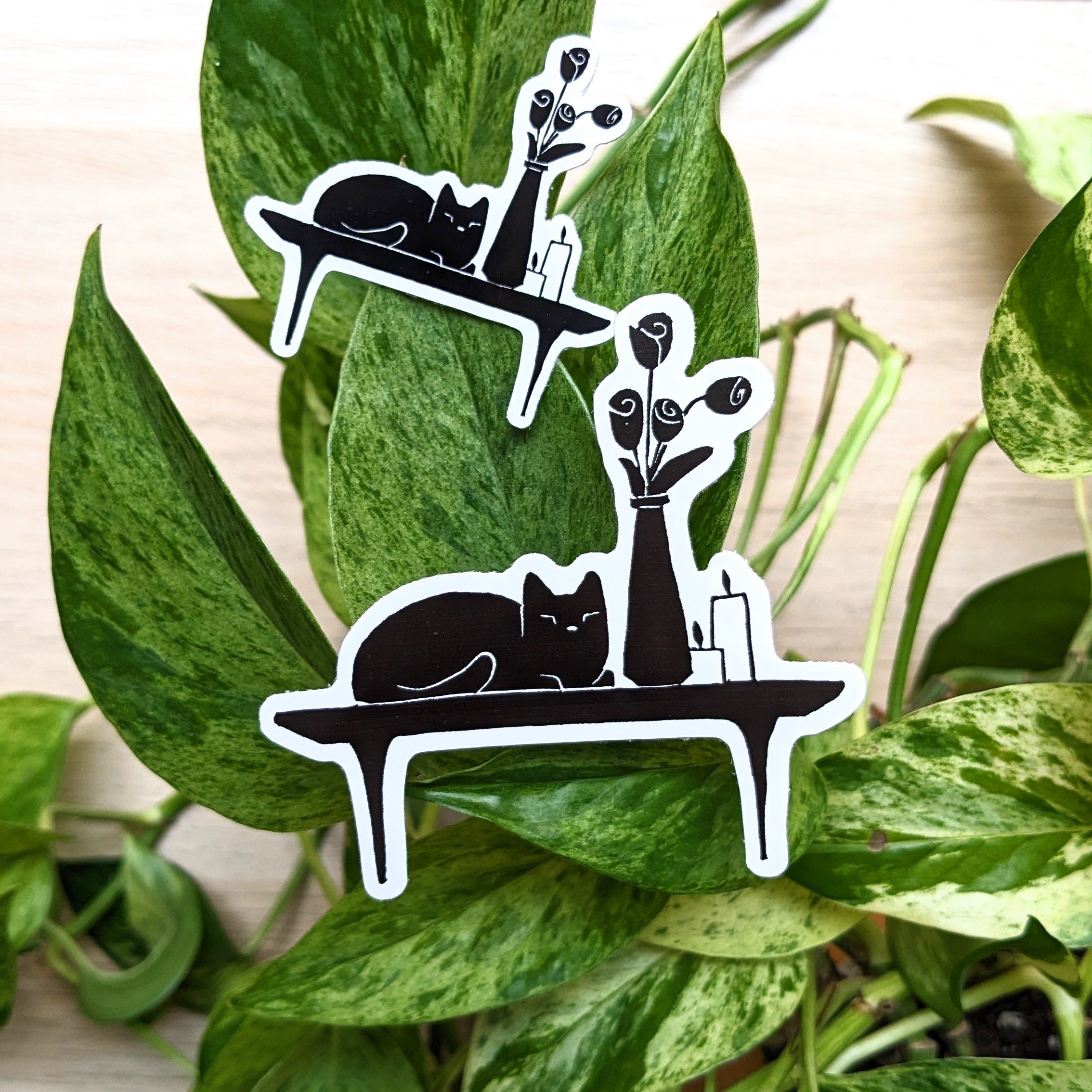 PXL_20240401_195839685~2 (1).jpg