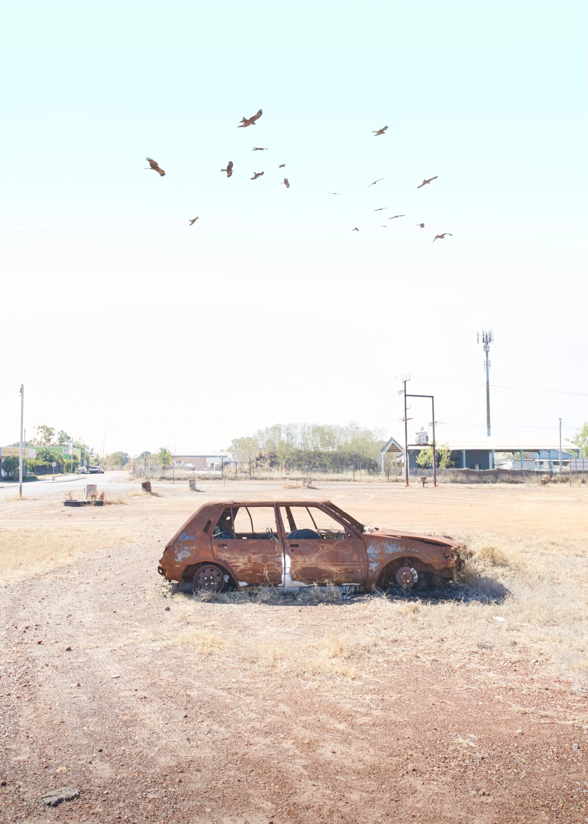 An abandoned, rusted car in a barren lot with a flock of birds flying in the sky above.