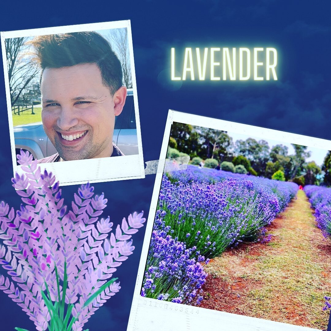 🌸 The Egyptians and Greeks have records of using lavender for medicinal purposes over 2000 years ago.

🤷🏻&zwj;♀️ but why?

🥘 Nutritionally, lavender contains Iron, calcium, iron, with evidence also suggesting it promotes sleep, eases migraines, a