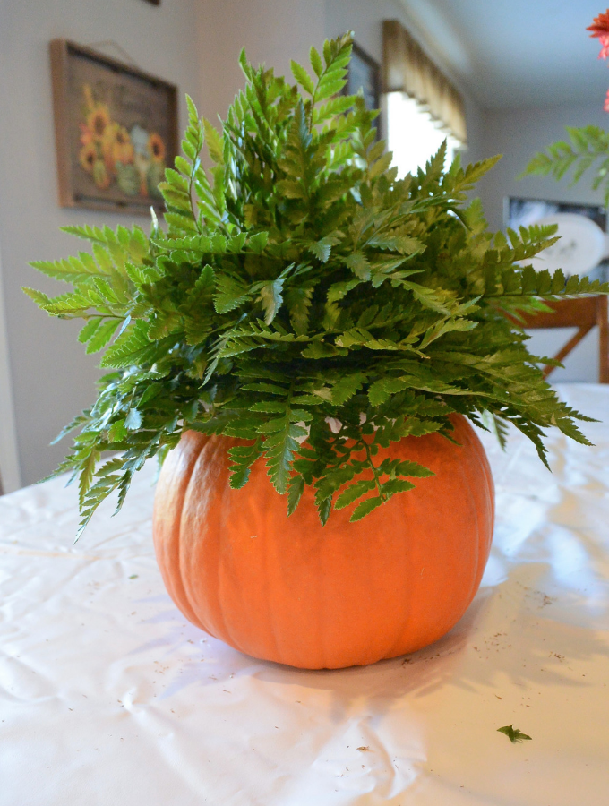 pumpkin with greening finished
