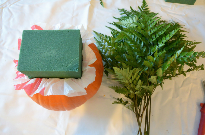 pumpkin with foam and fern laying next to it